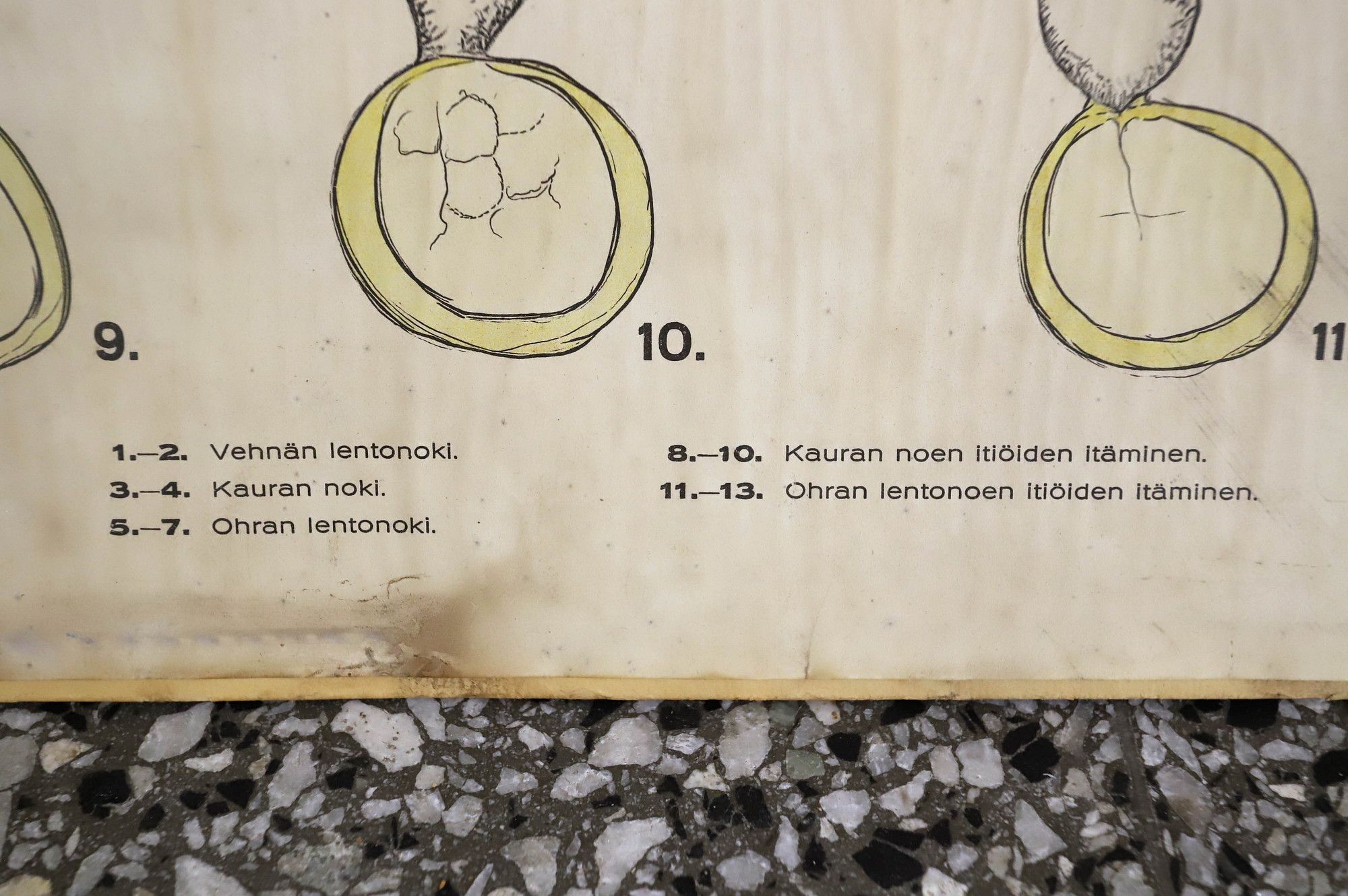 Image 11/23