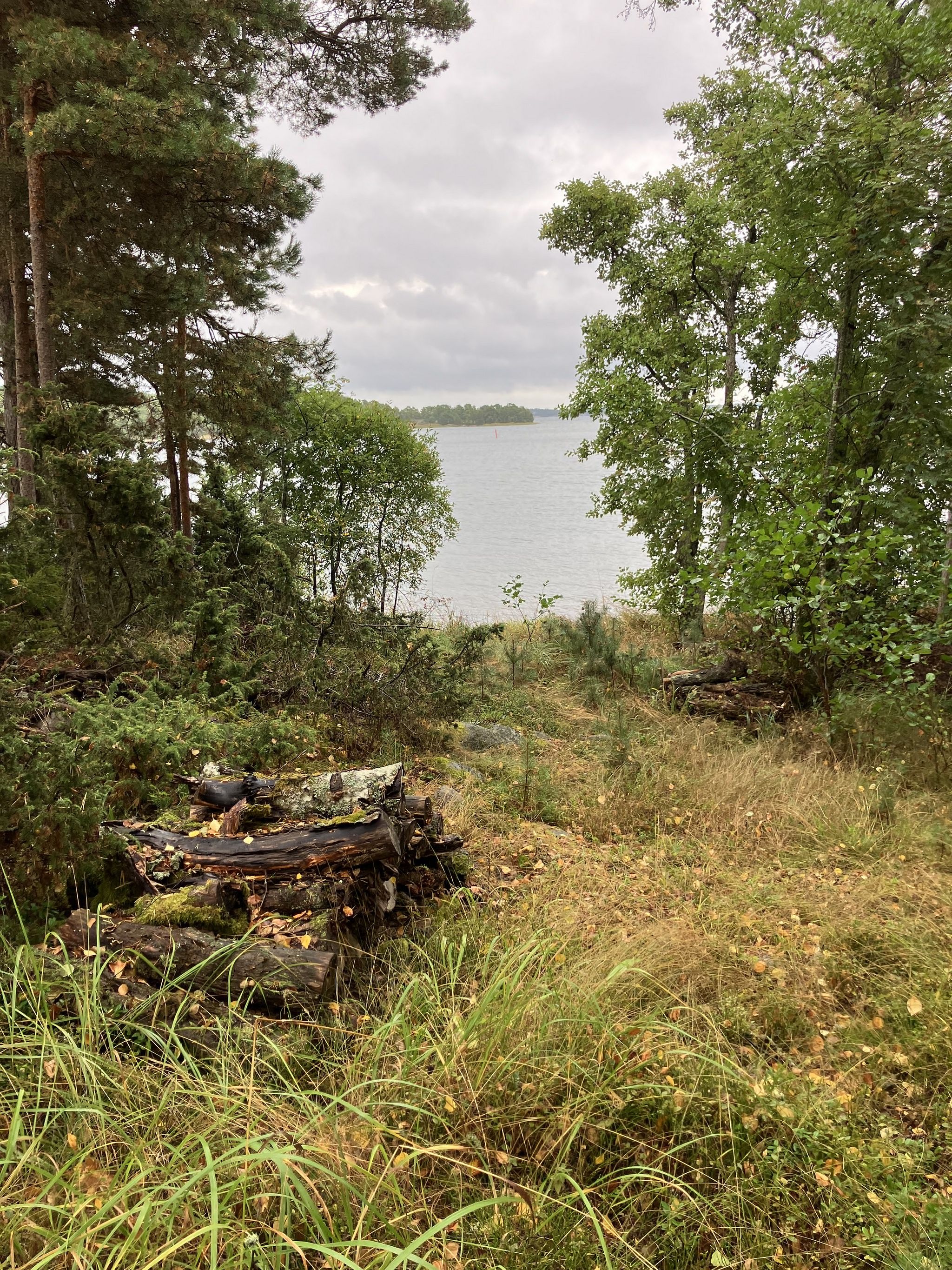Kuva 37/42