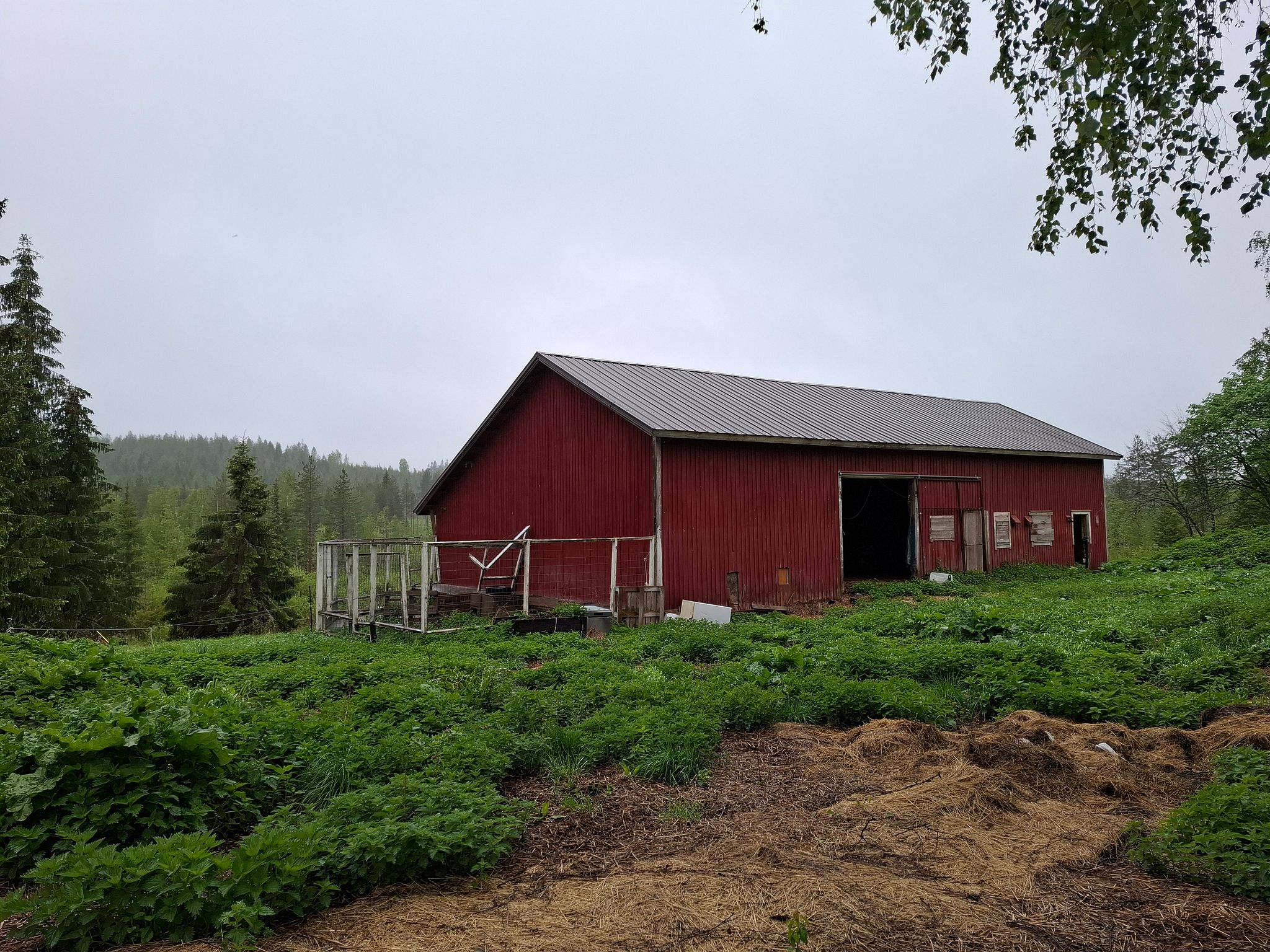 Image 12/40