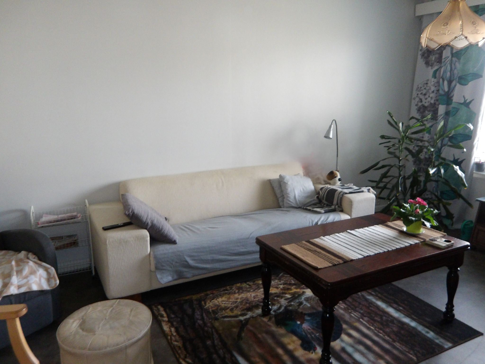 Image 7/7