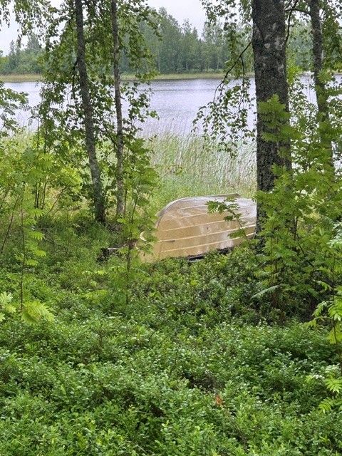 Image 8/41