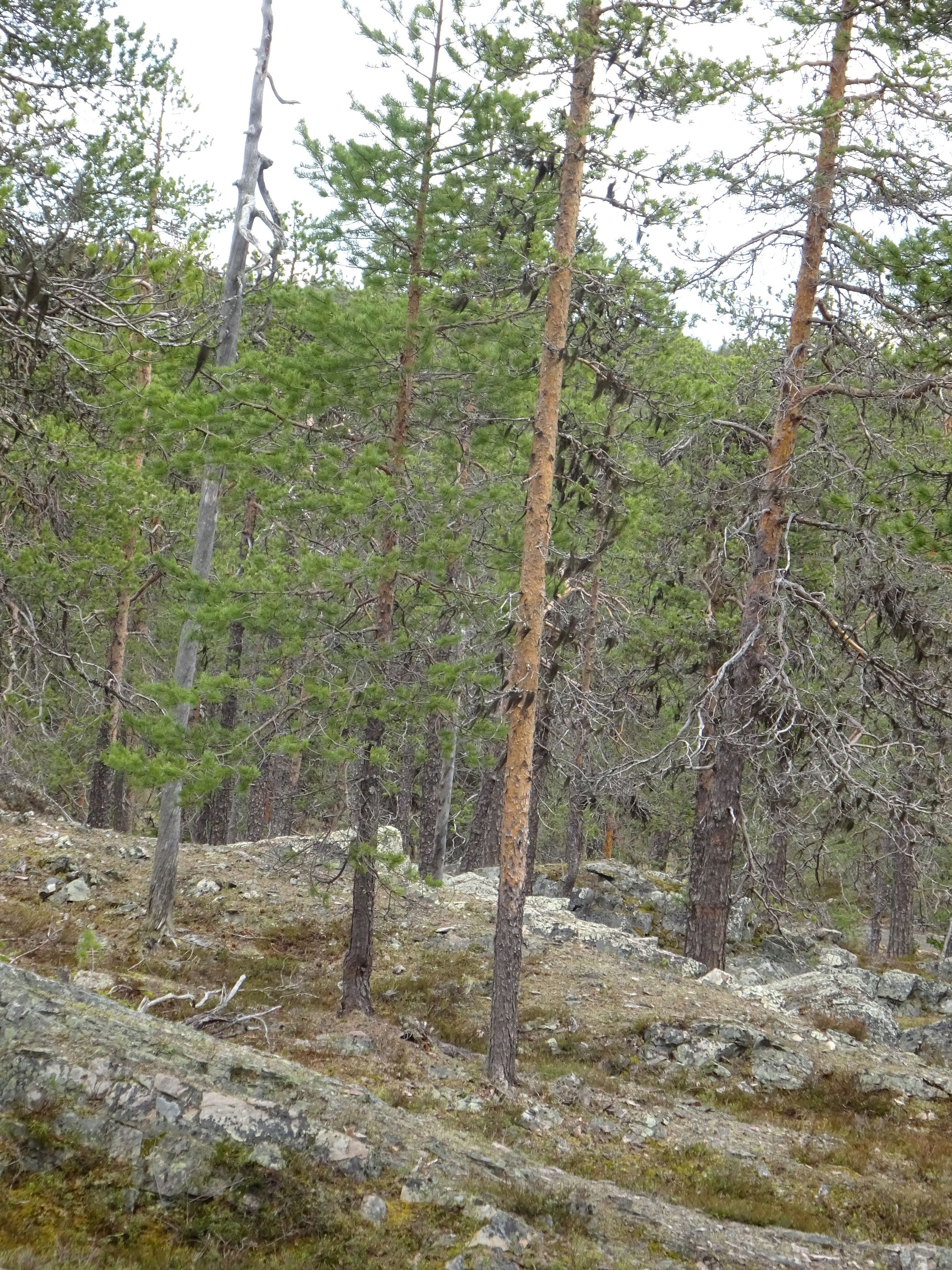 Image 10/17