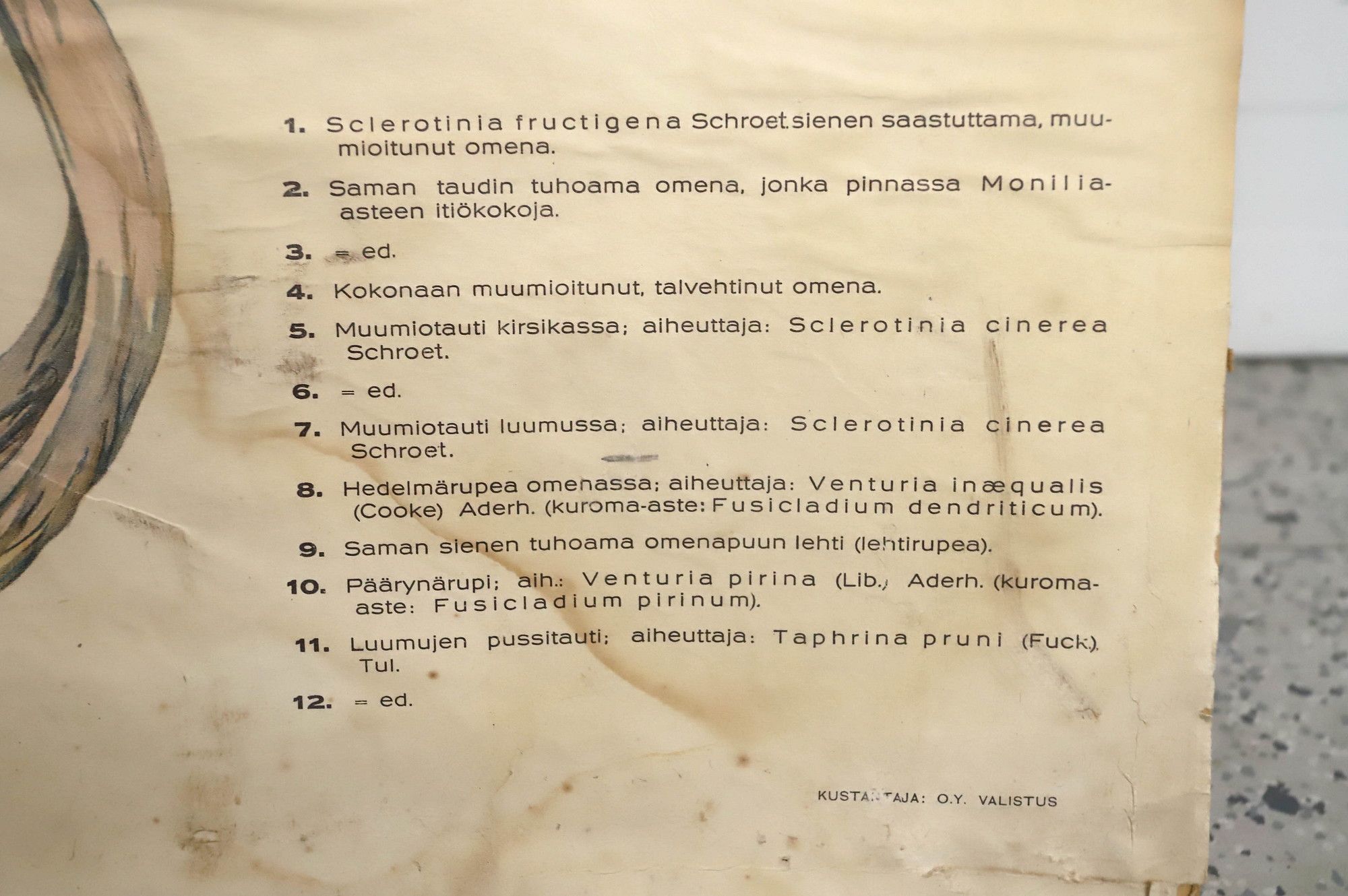 Image 5/23