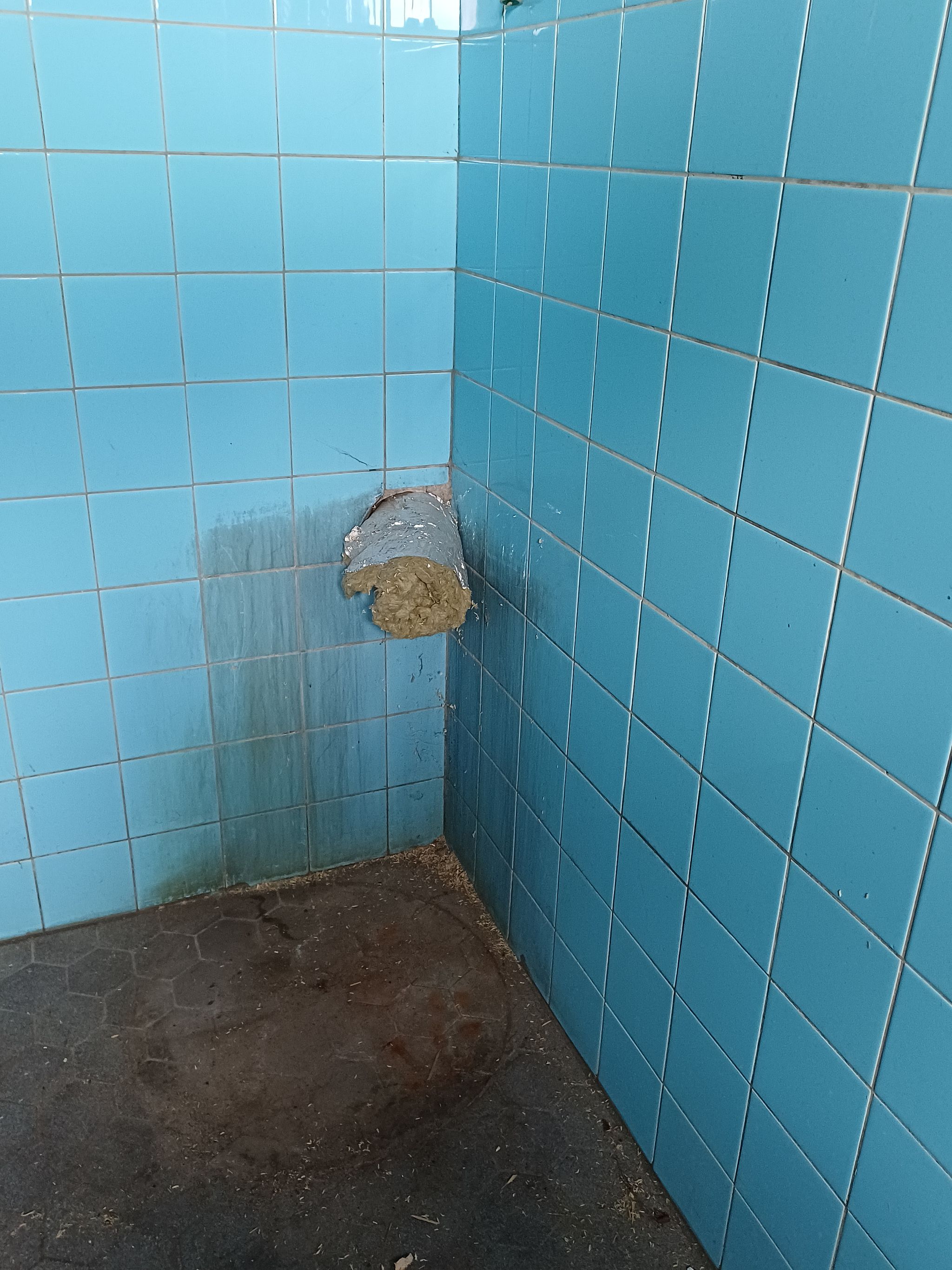Image 44/56