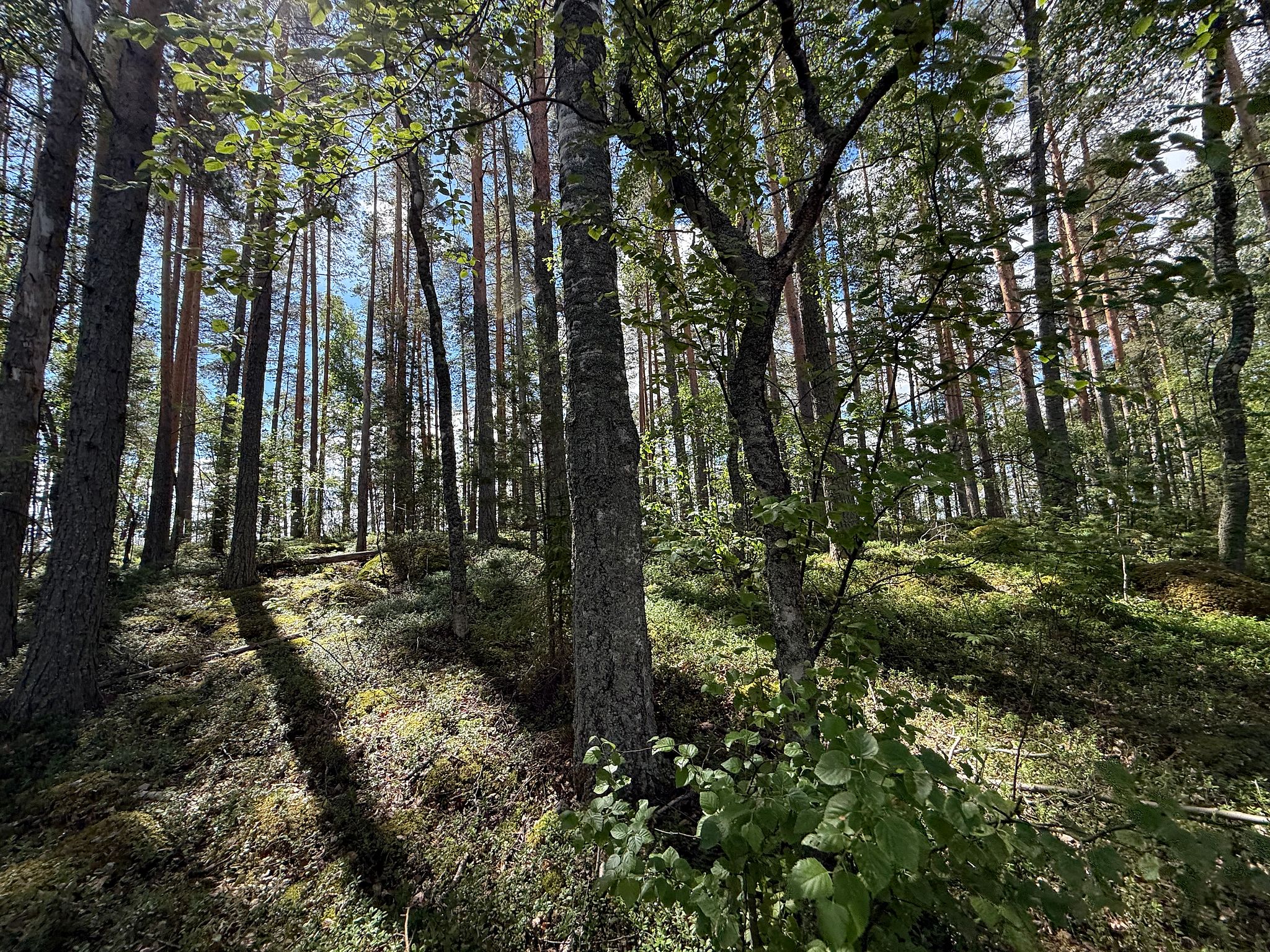Image 10/31