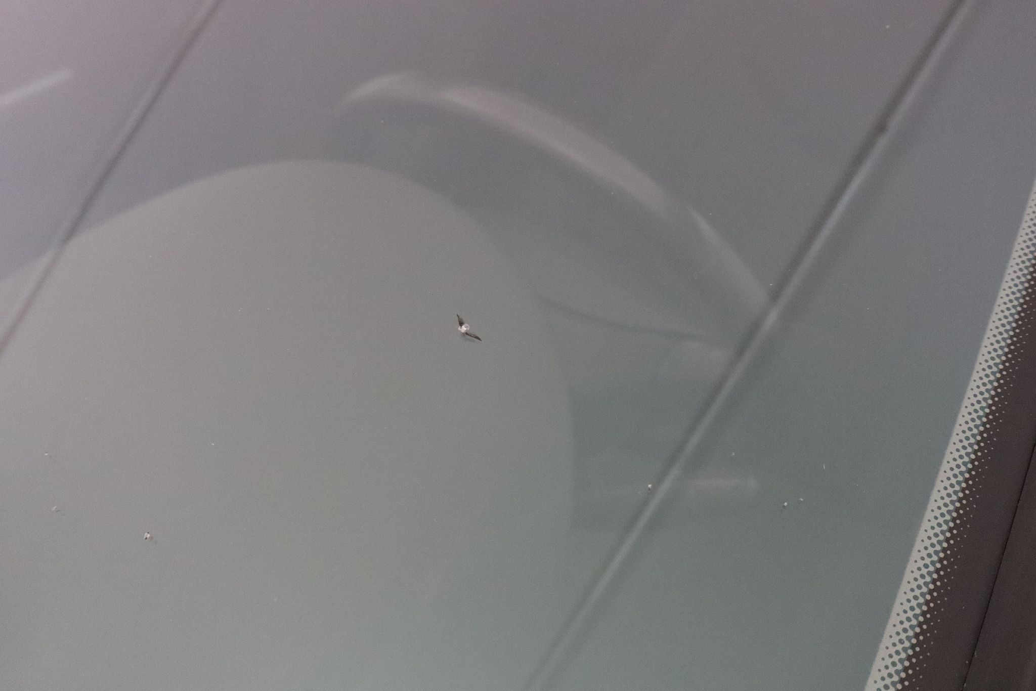 Image 36/54