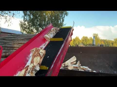 Kuva 20/20