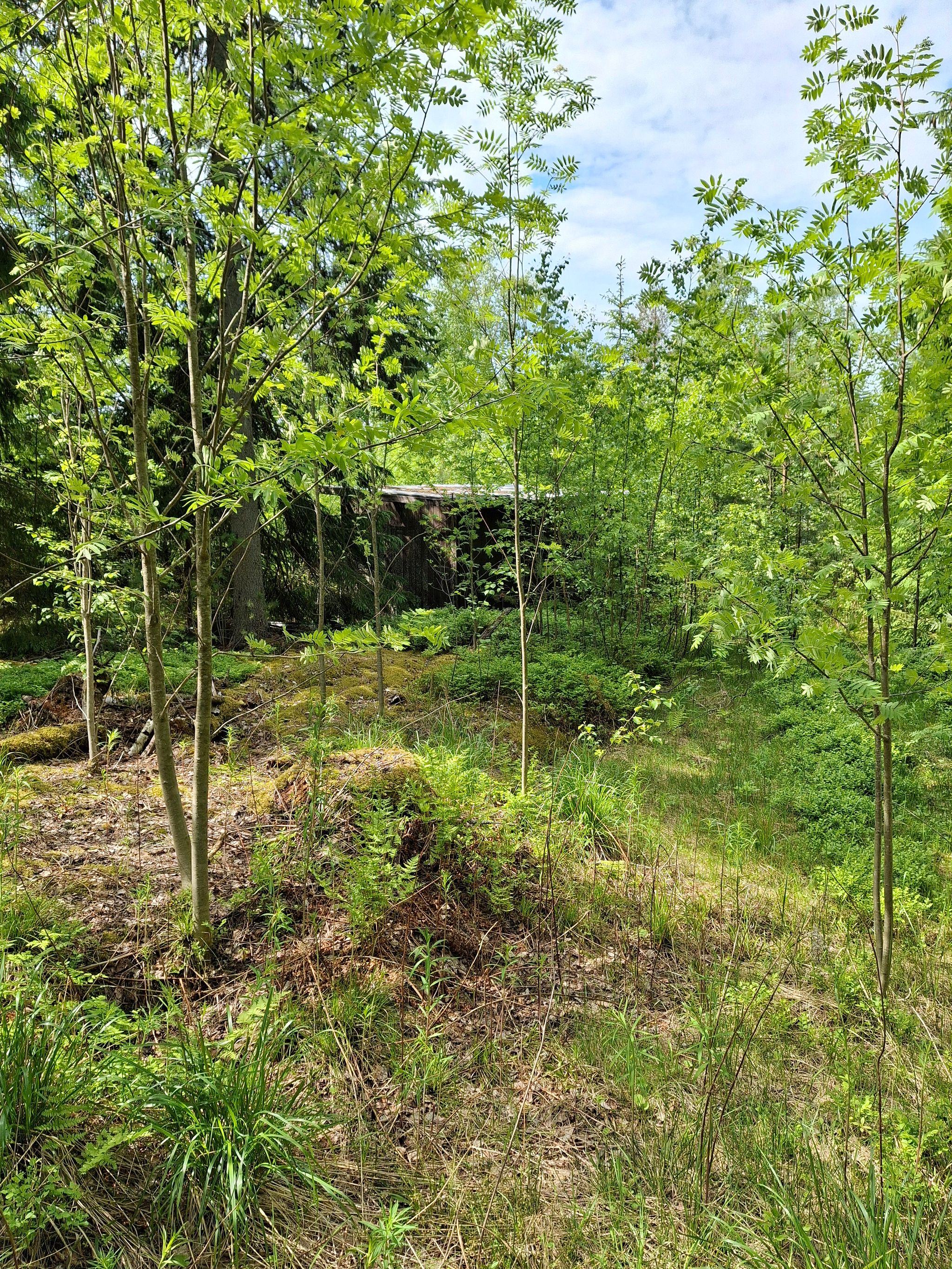 Image 16/17