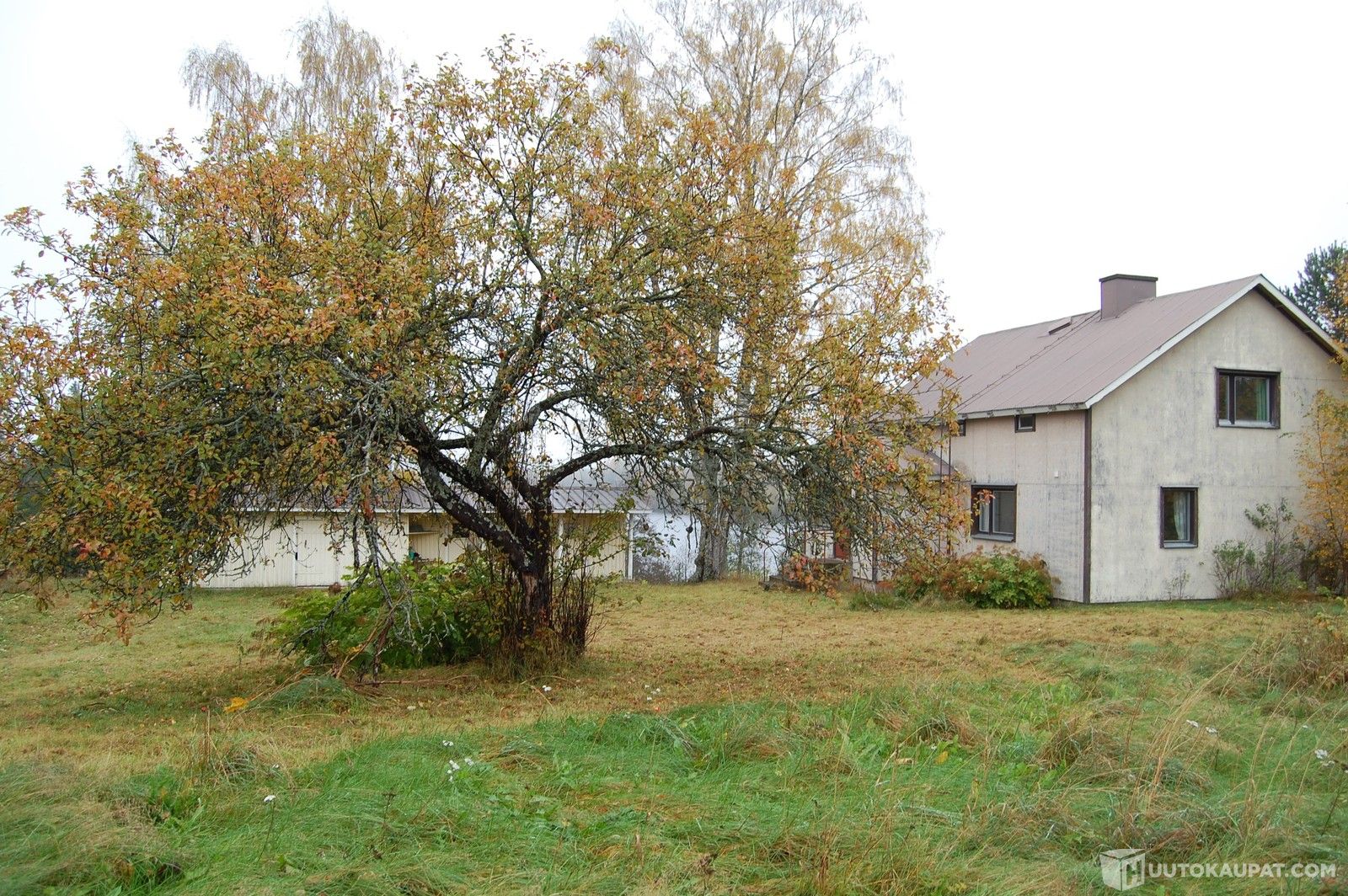 Tilakeskus Lahtela ja metsää yht. 17,561 ha, Nurmijärven rannalla.,  Rautjärvi 