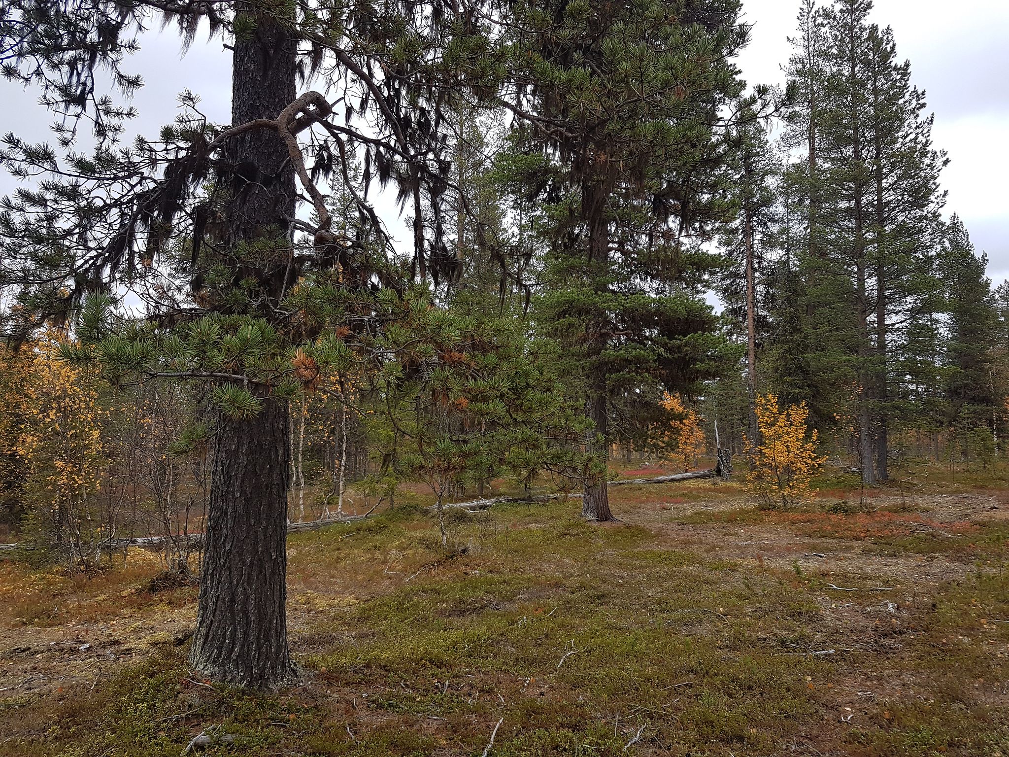 Image 10/13