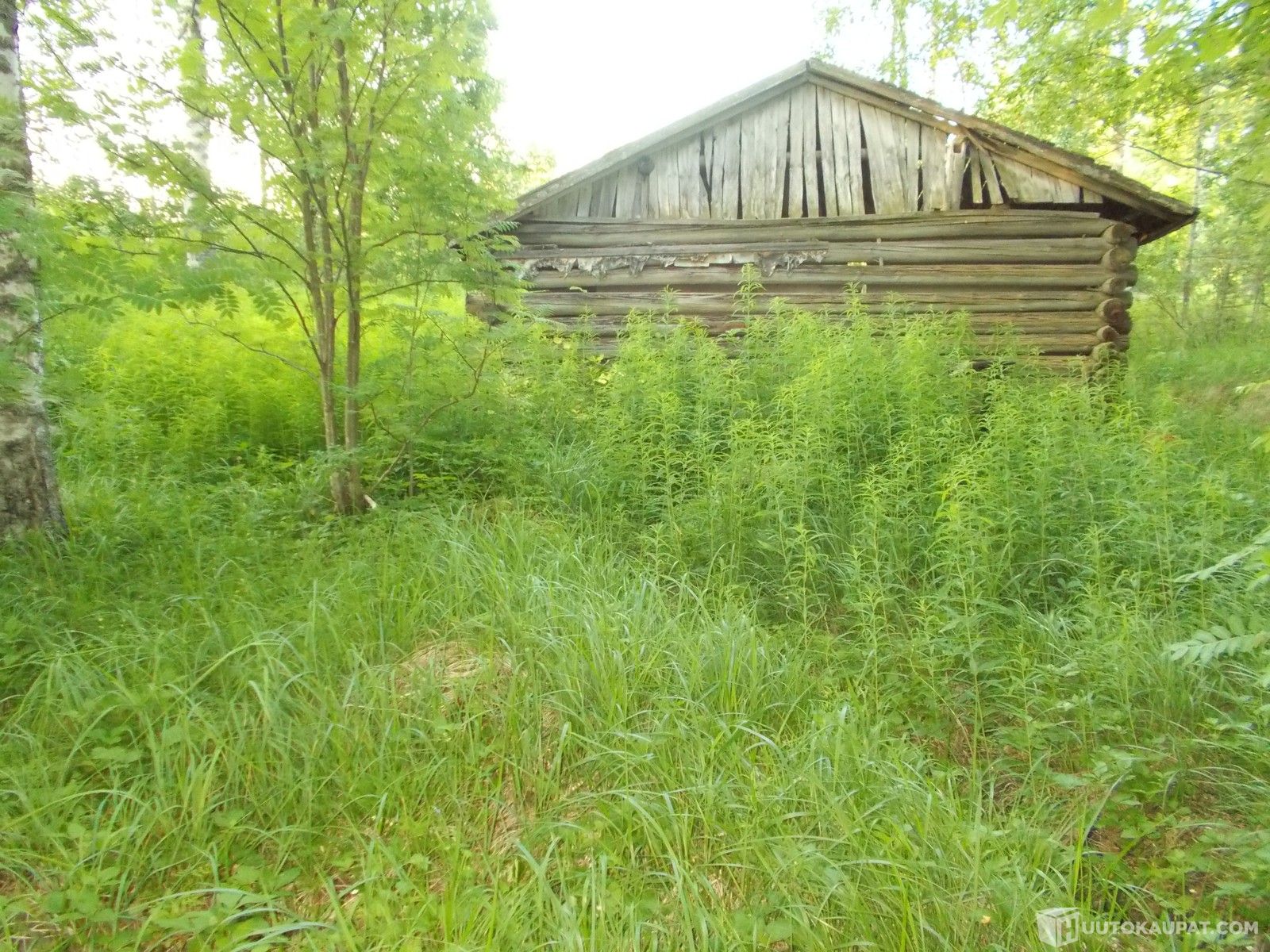 HIENO RANTAPALSTA n. 1,0 ha määräala, PIHLAJAVEDEN RANNALLA, 200 m  rantaviivaa, Keuruu 