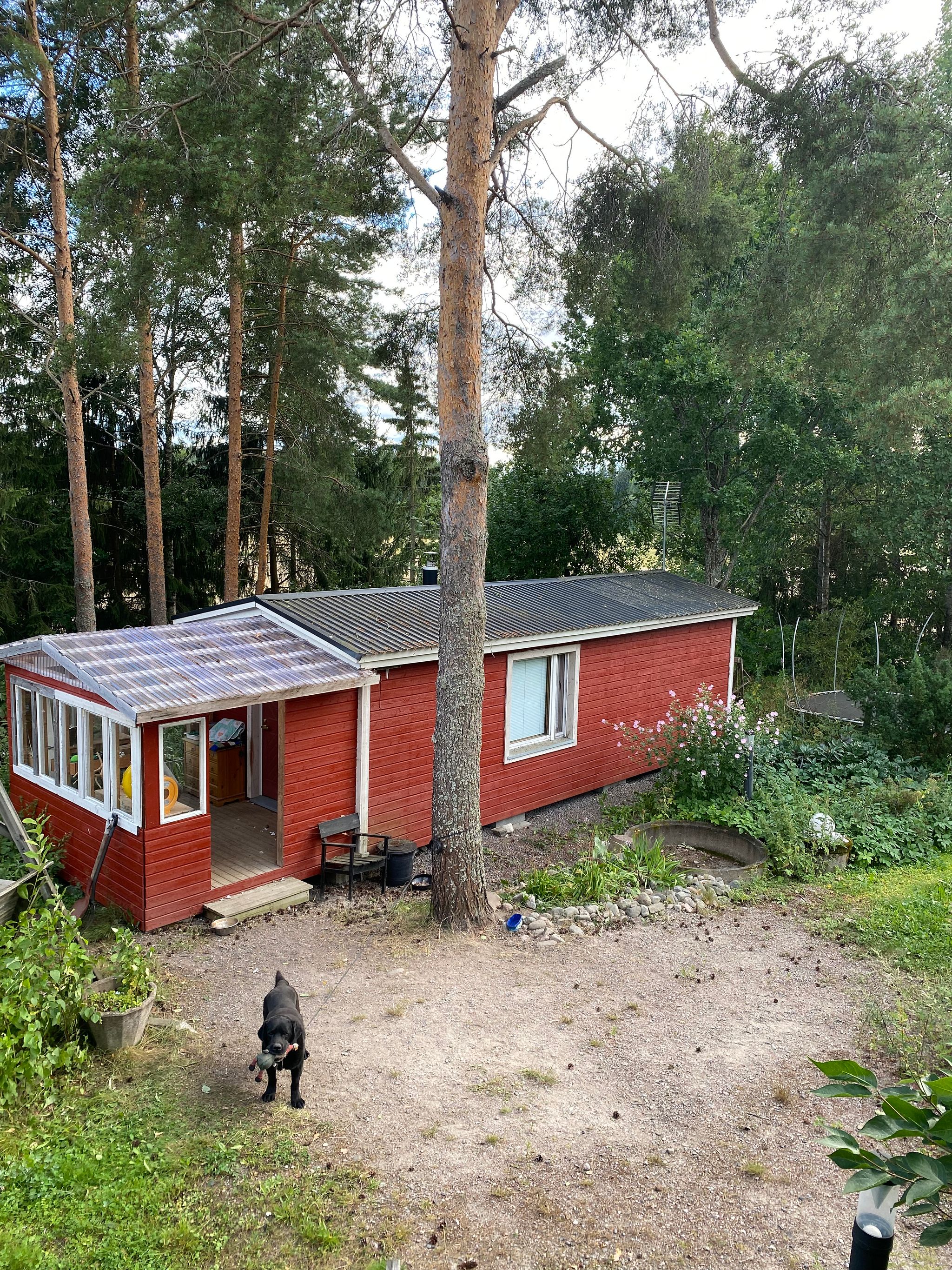 Image 2/15