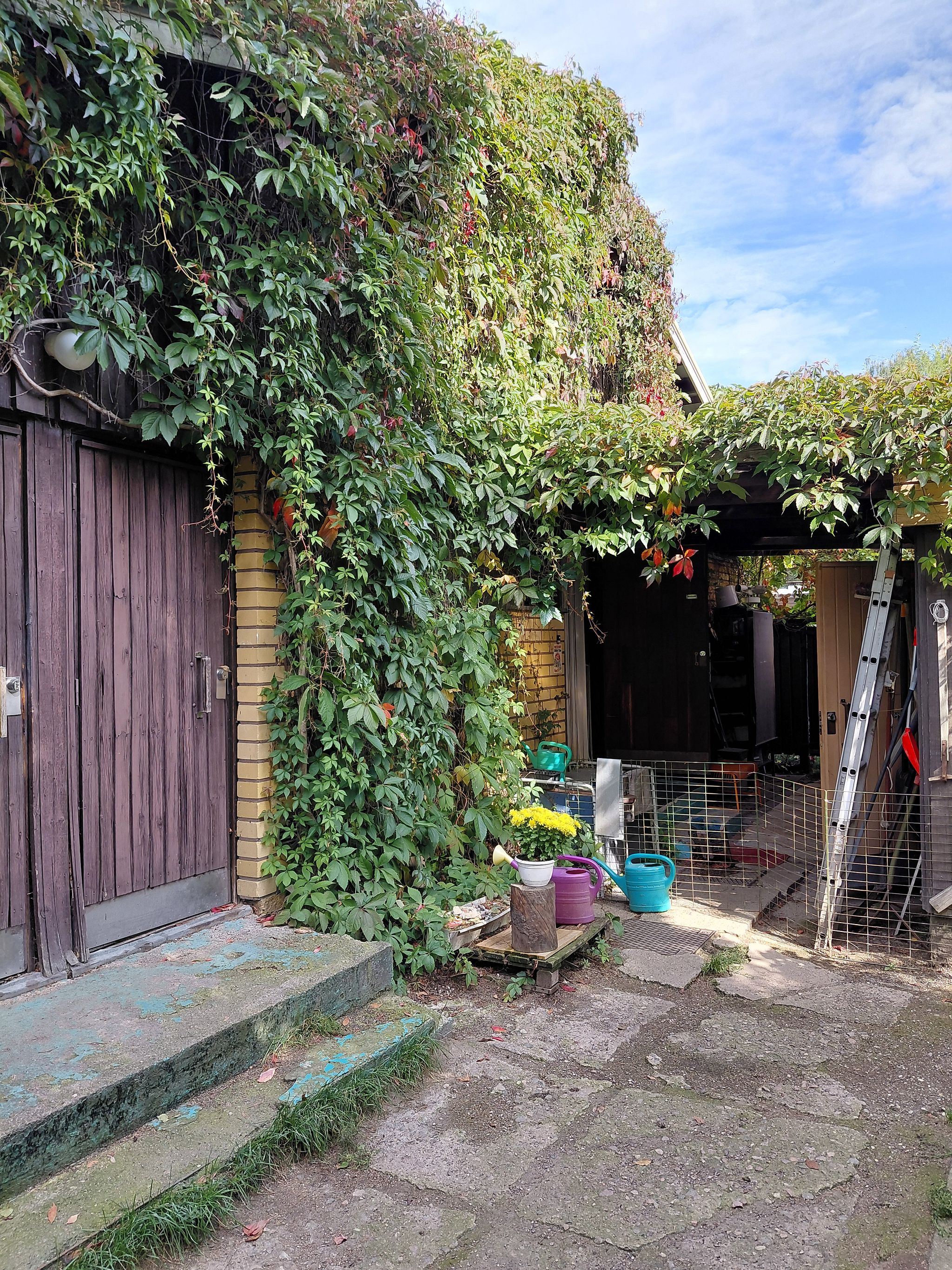 Image 3/33