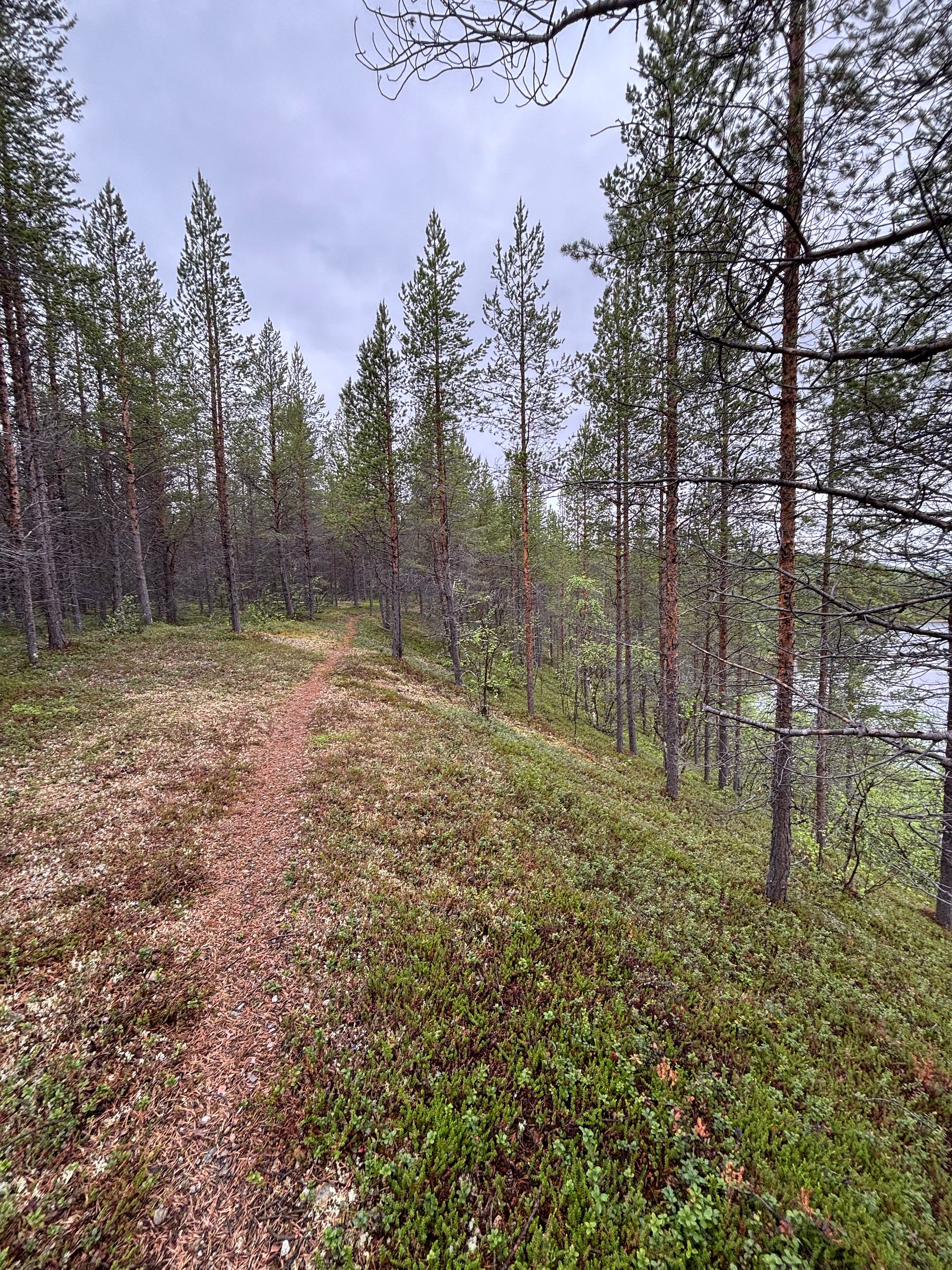 Image 3/12