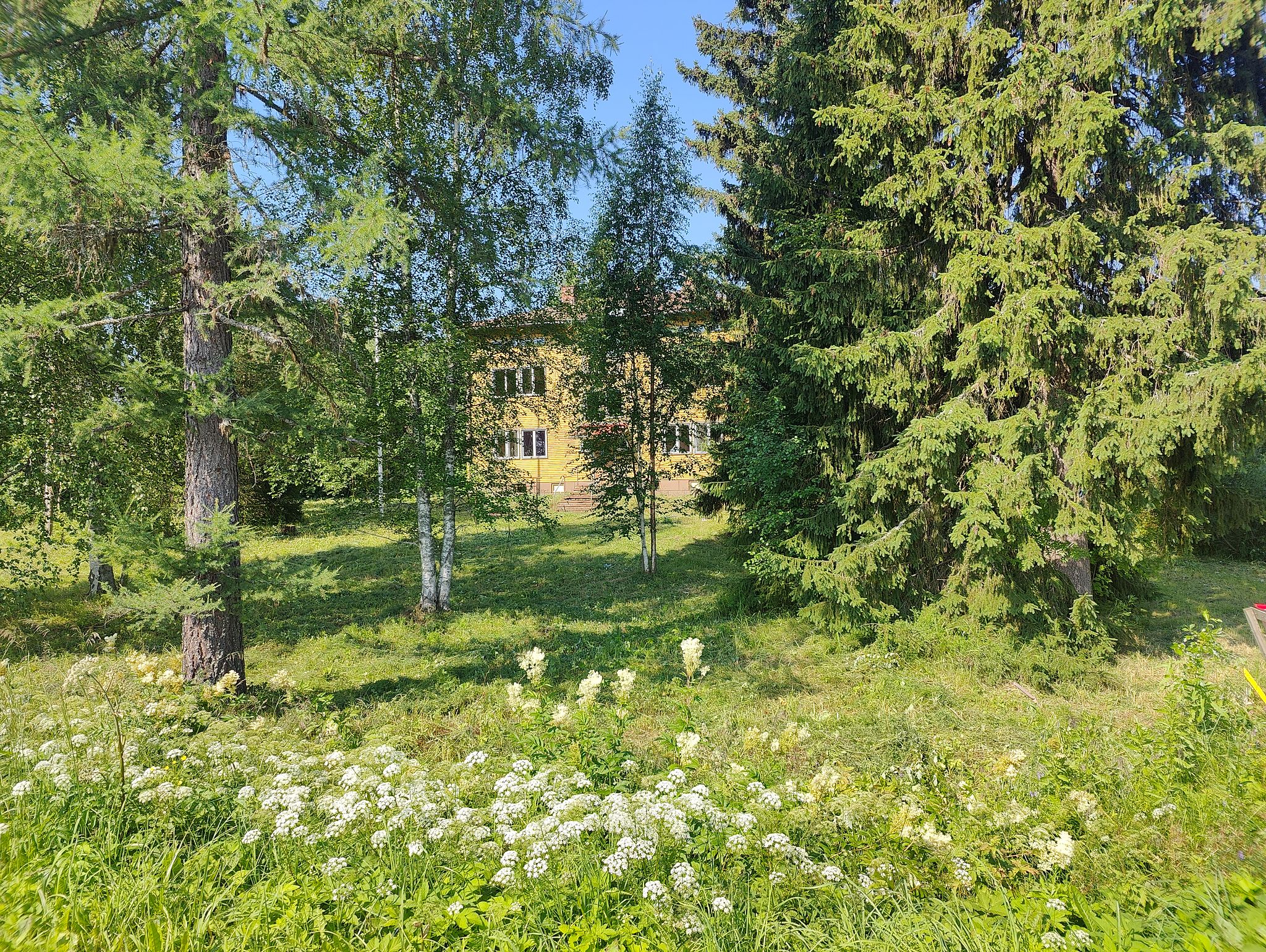 Image 25/30