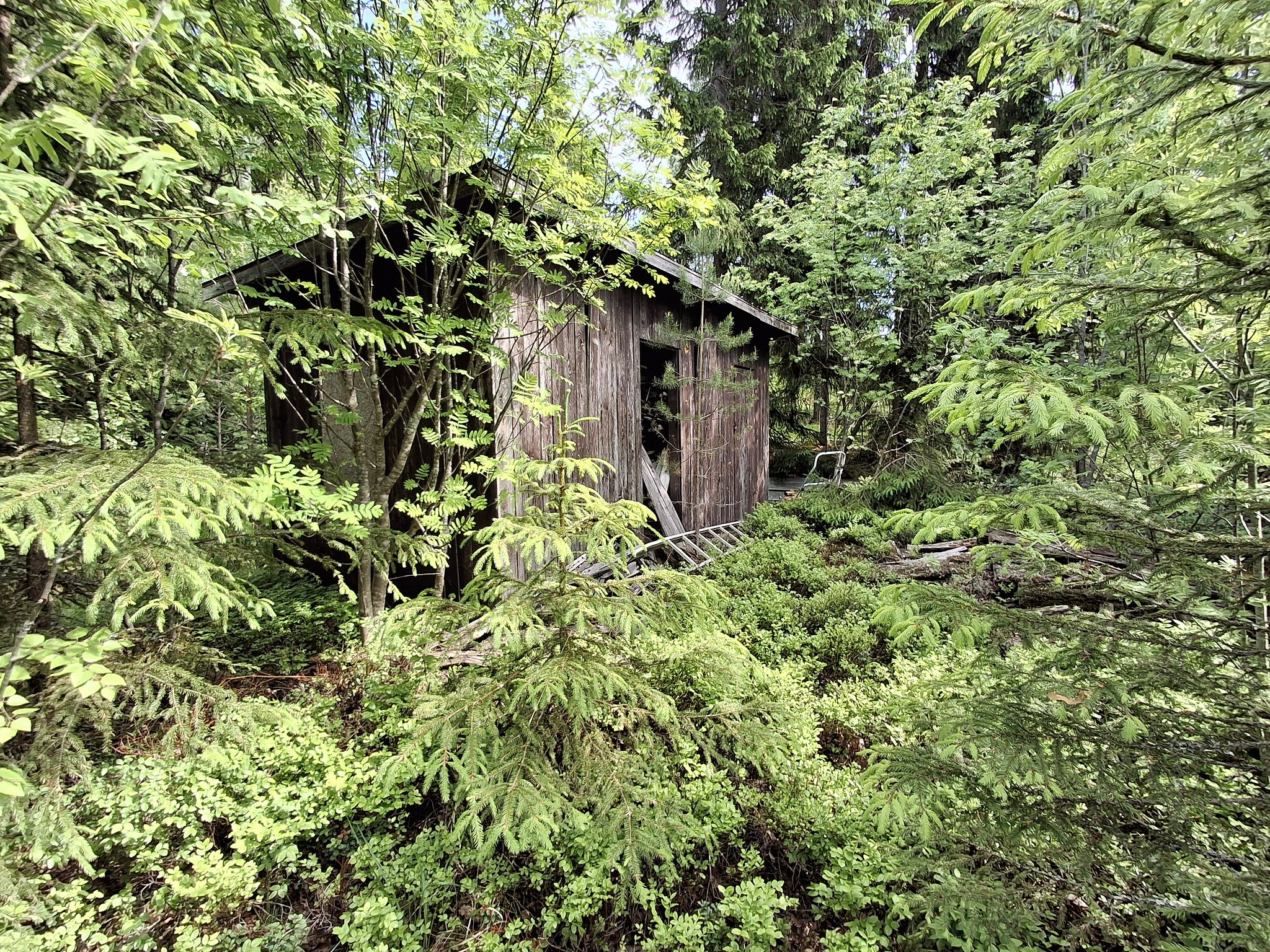 Image 13/17