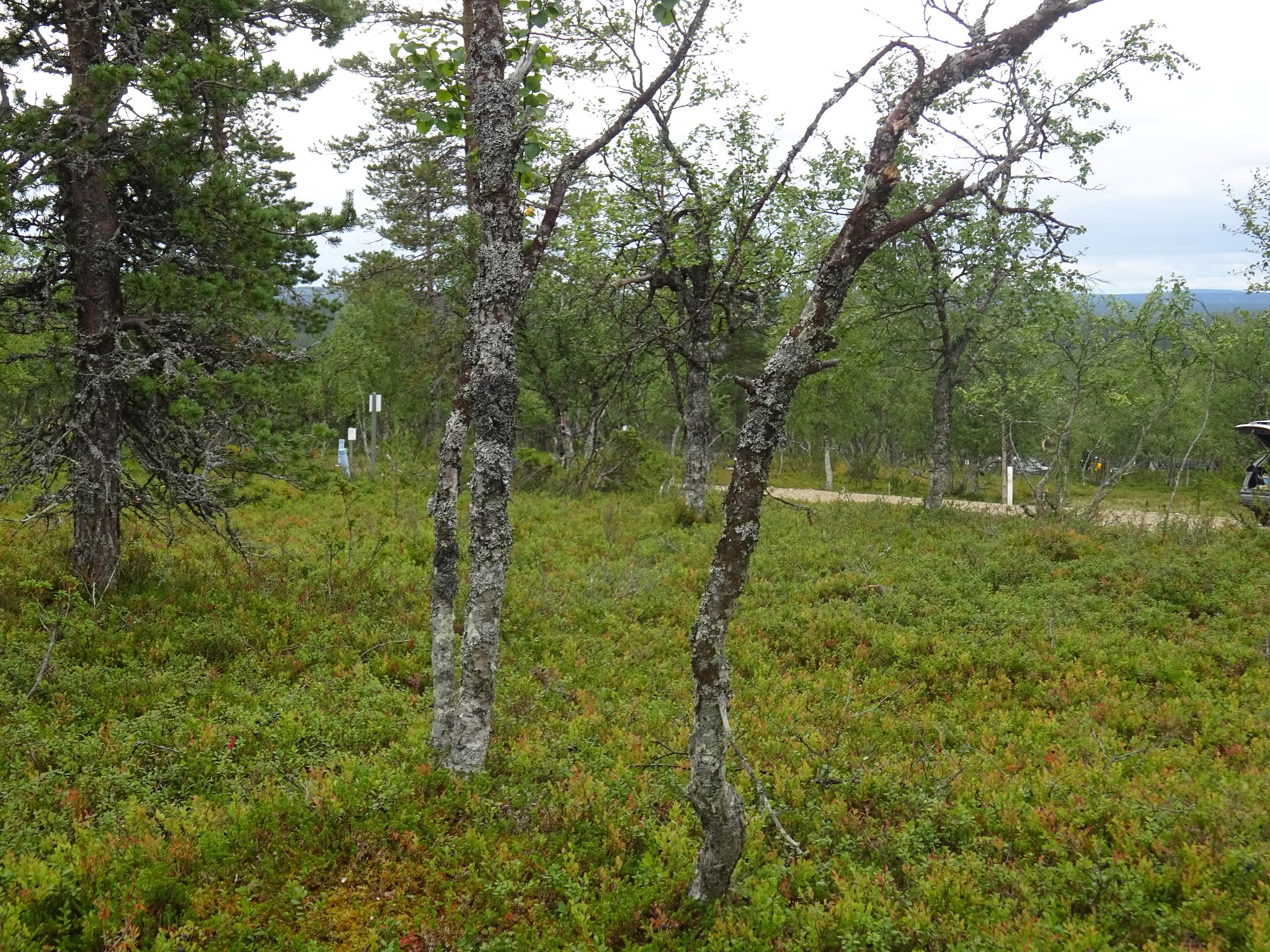 Image 4/8
