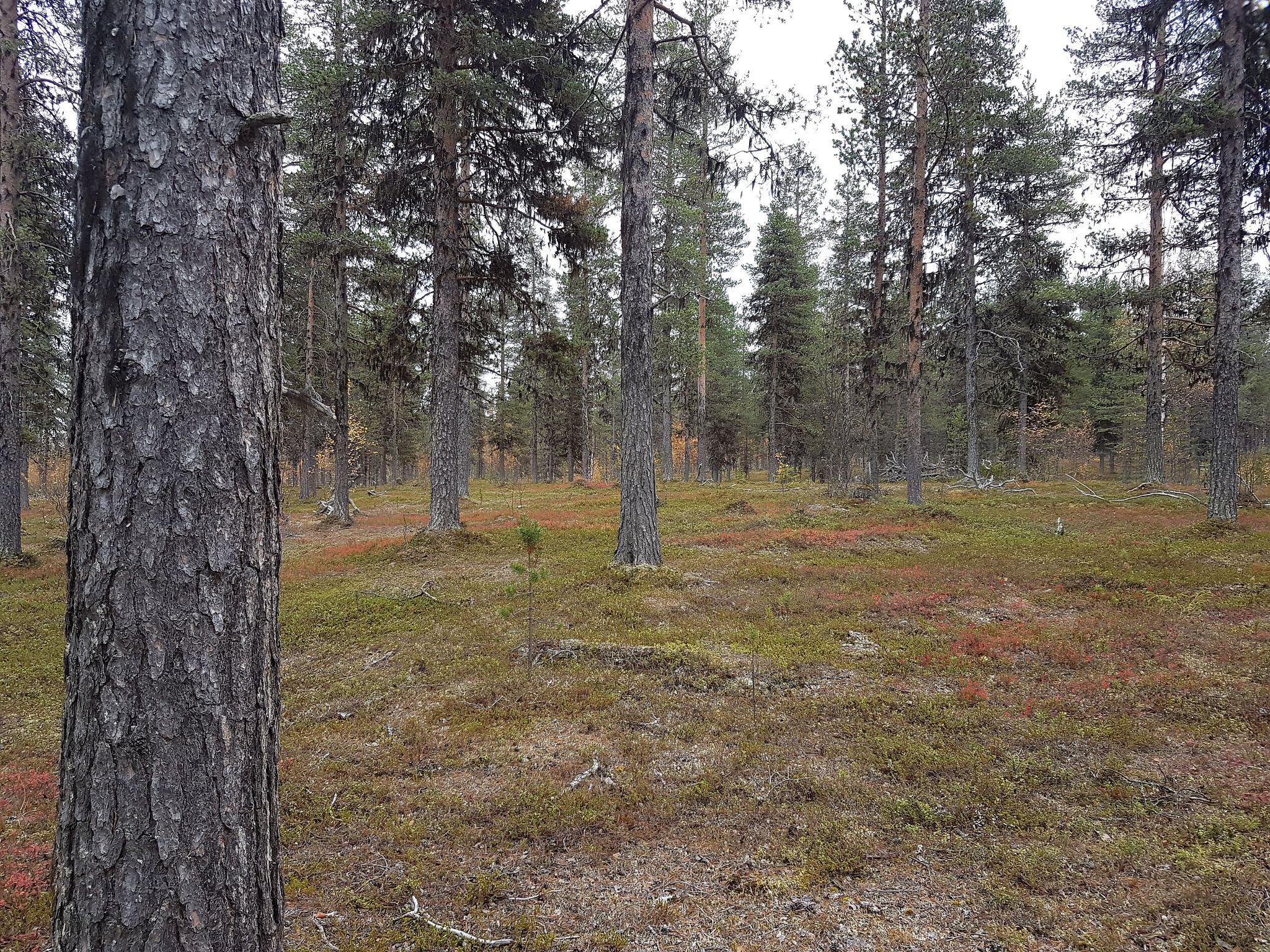 Image 8/13