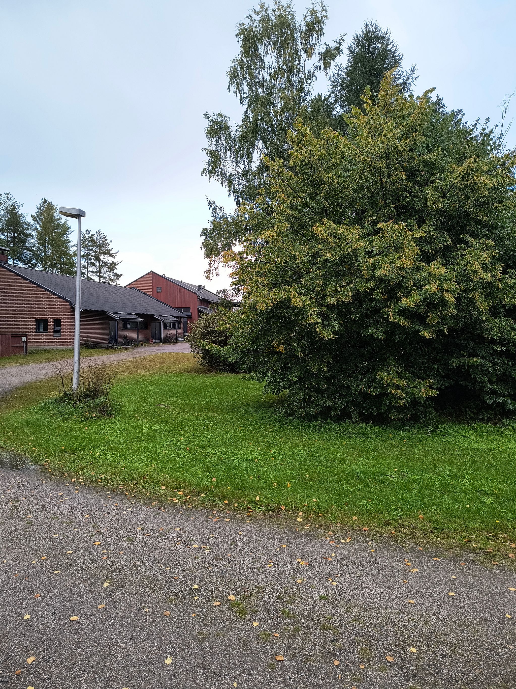 Image 21/64