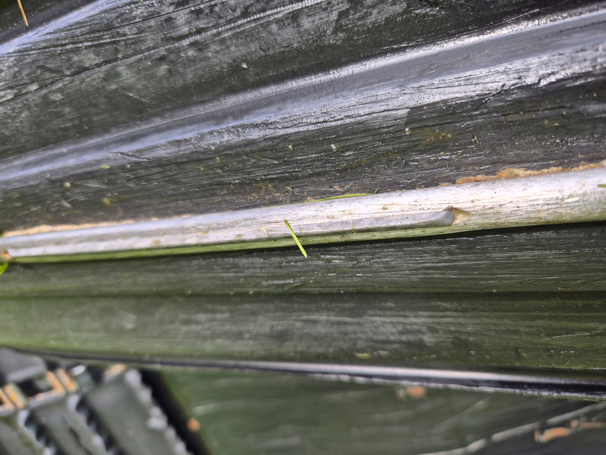 Image 11/24