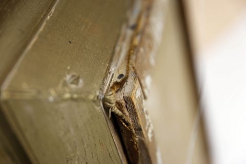 Image 15/19