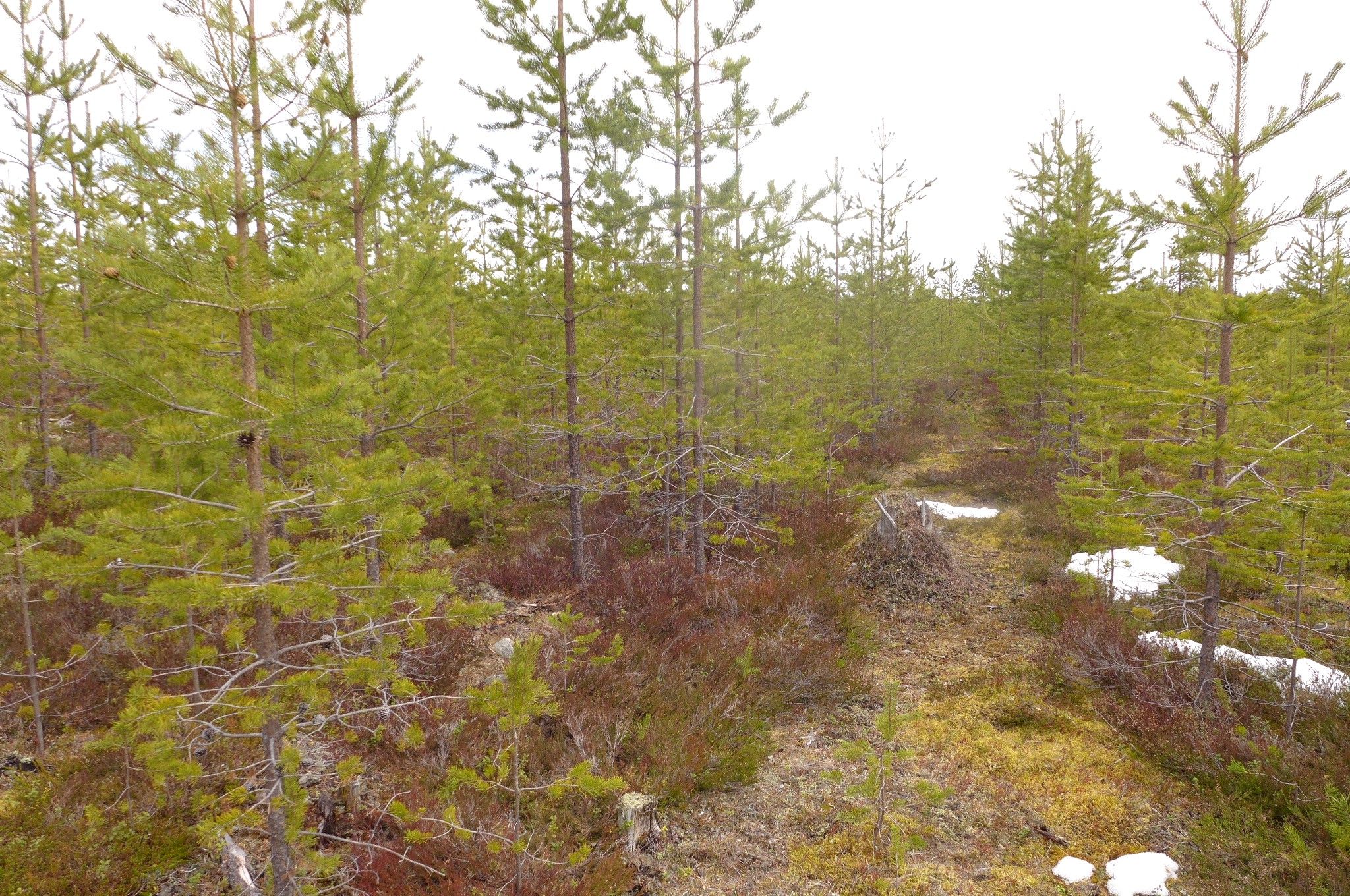Image 19/24