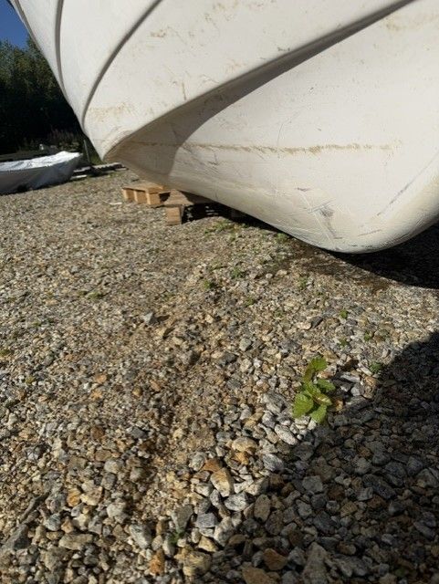 Image 8/10