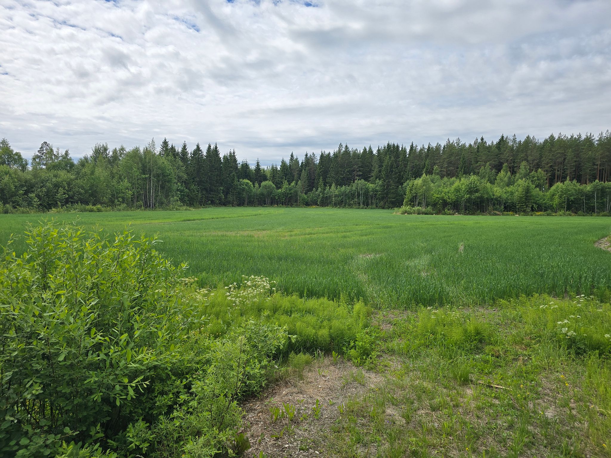Image 9/20