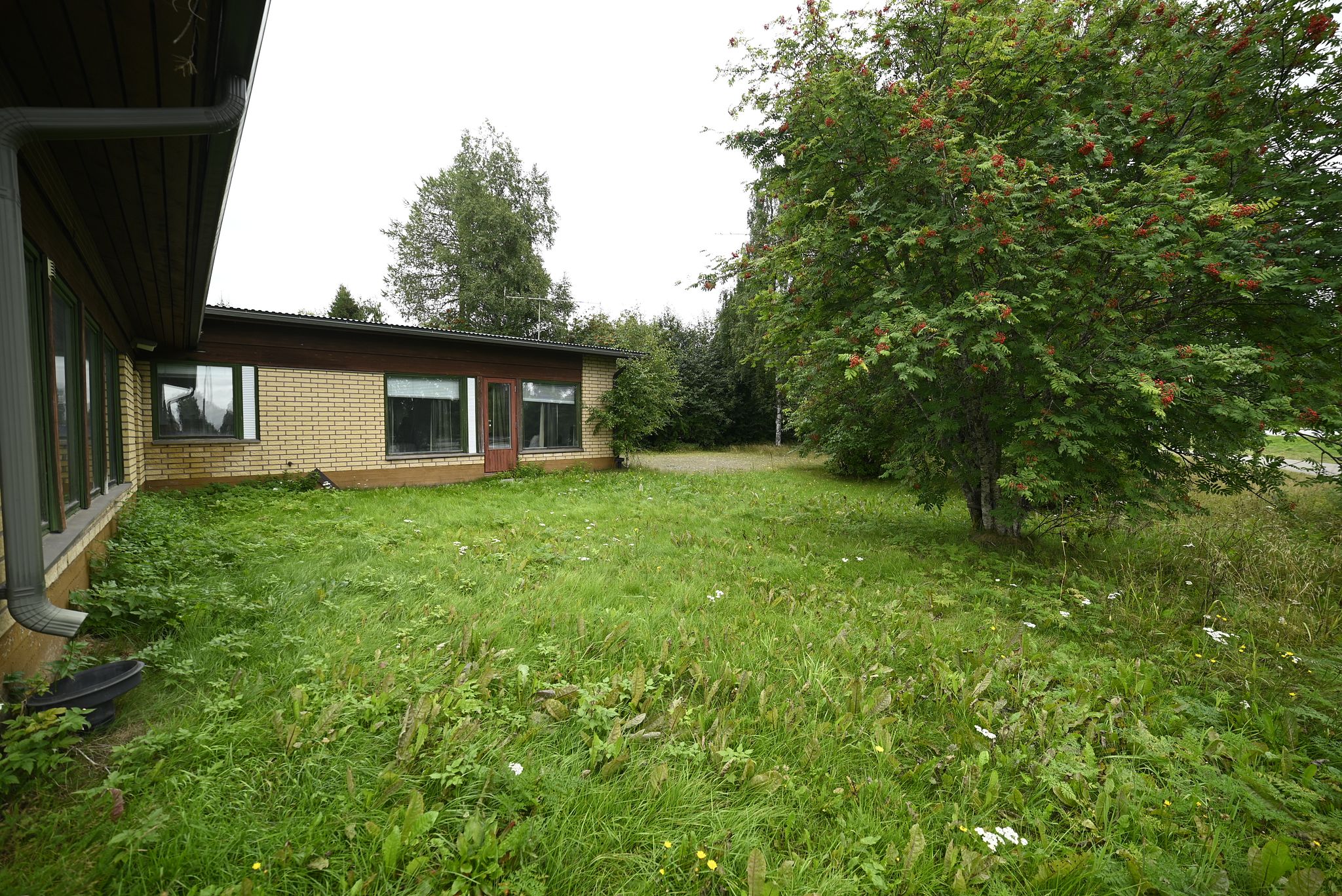 Image 36/36