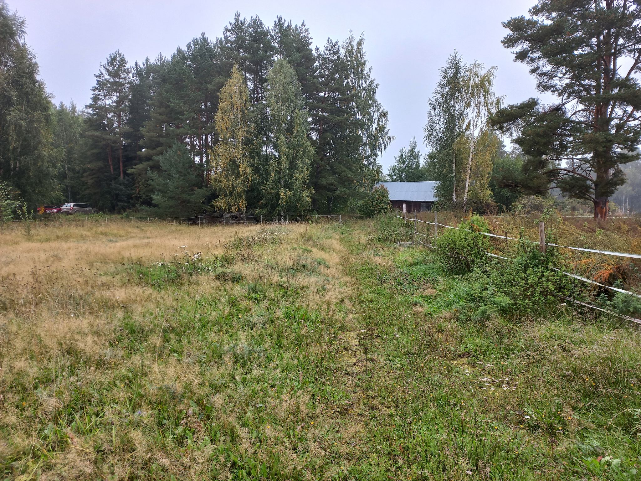 Image 50/57