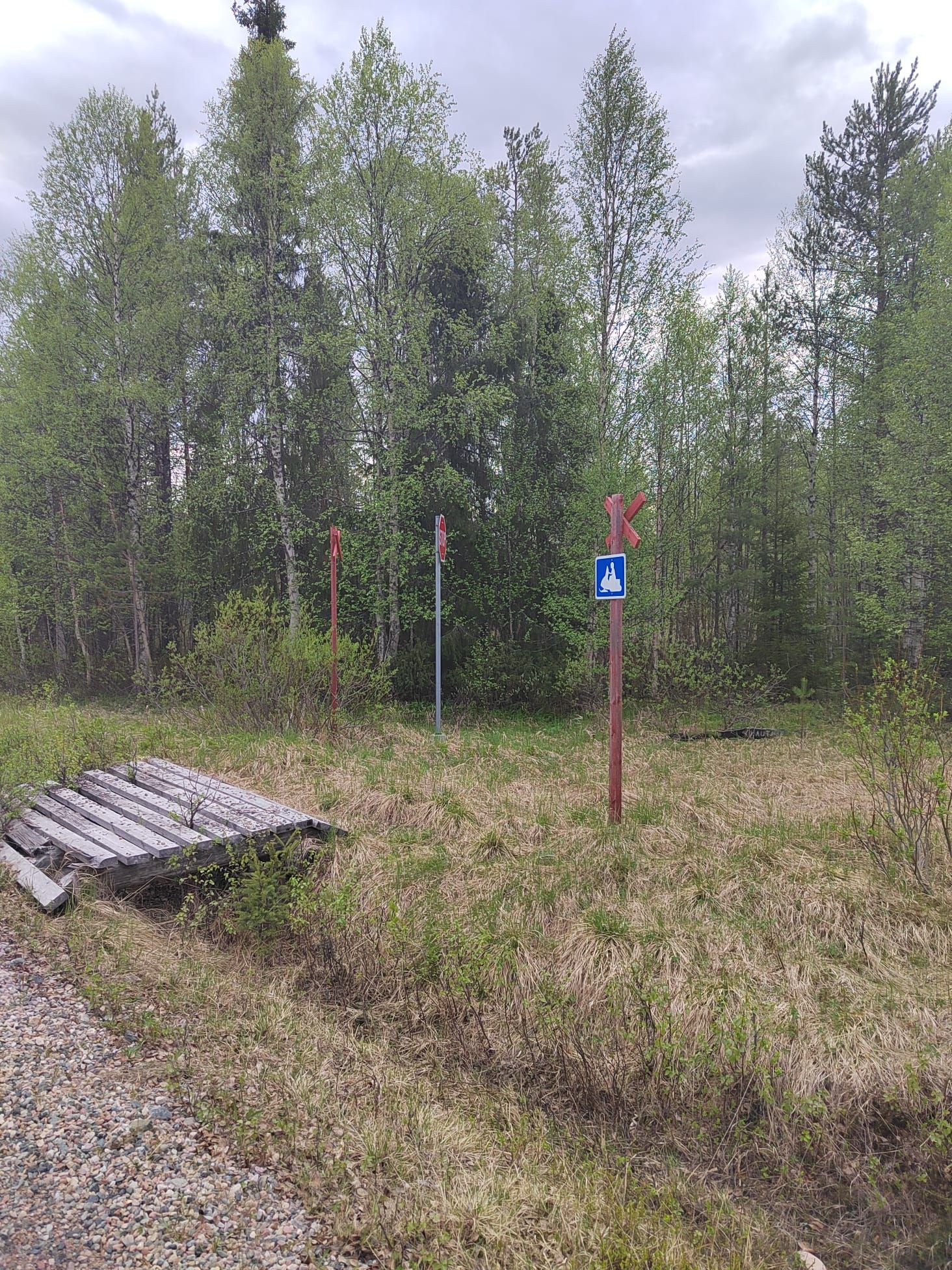 Image 5/15