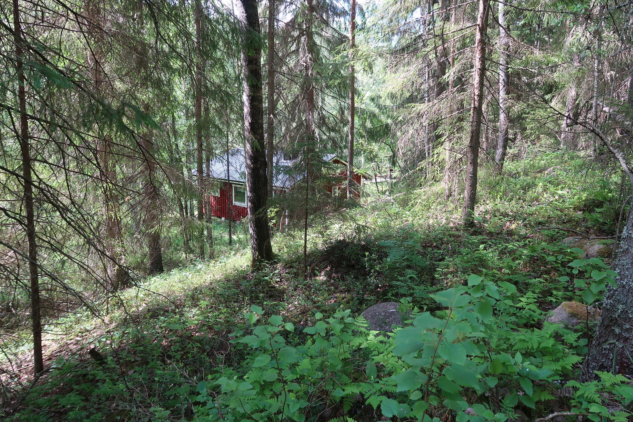 Image 24/25