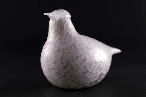 Image 1/17