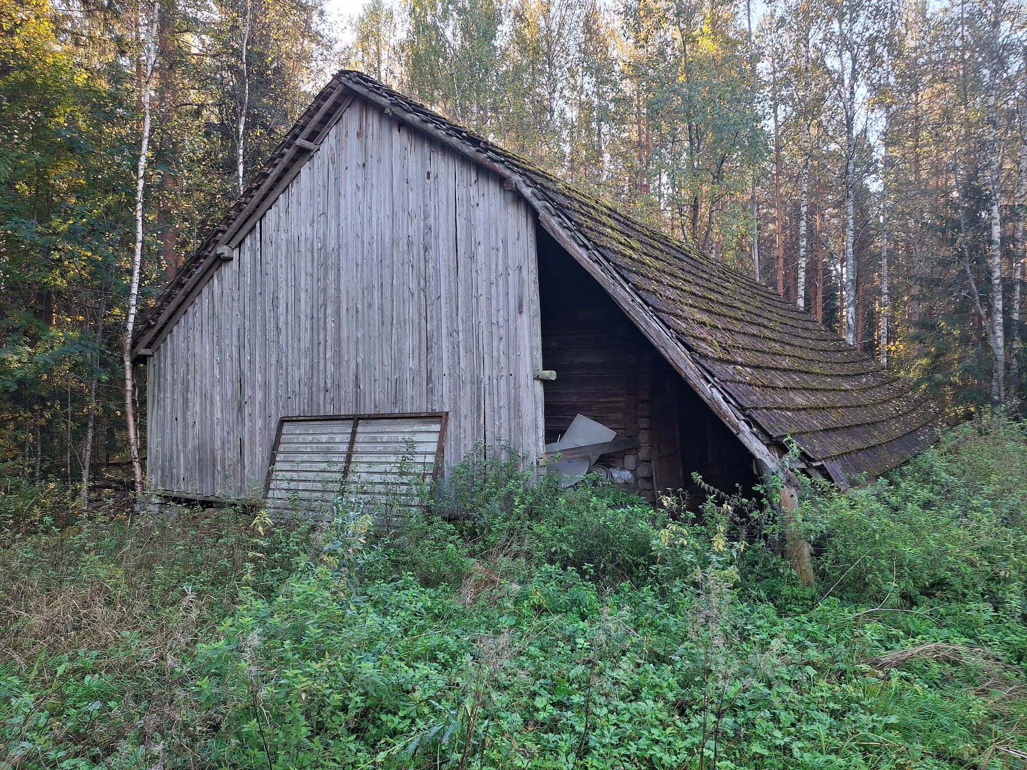 Kuva 64/69