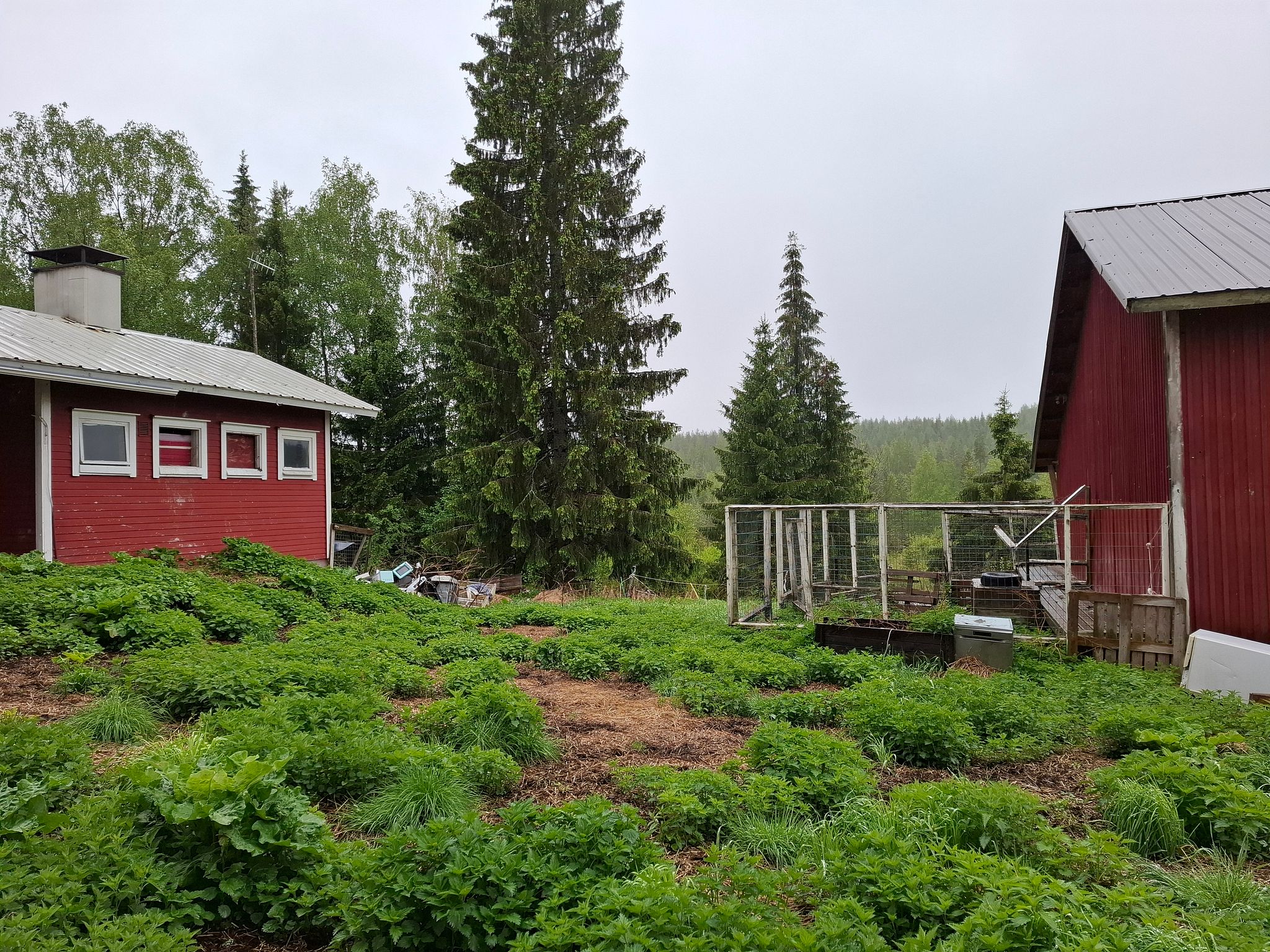 Image 10/40