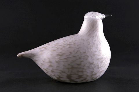 Image 10/17