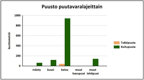 Kuva 9/10