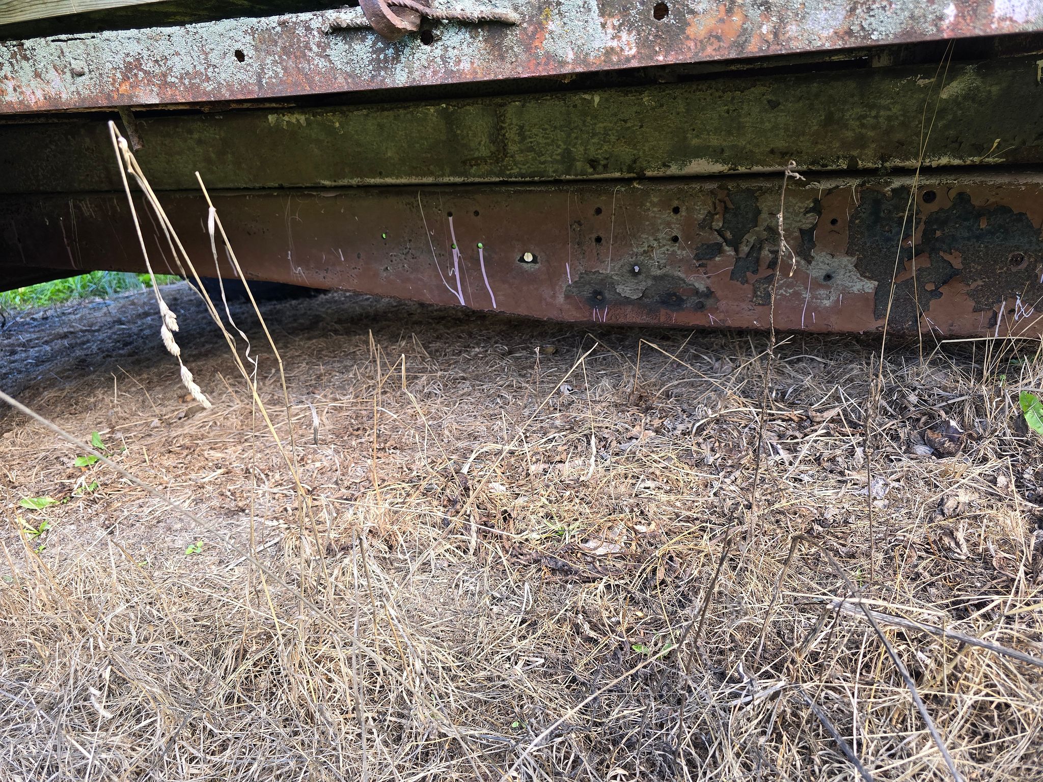 Image 6/6