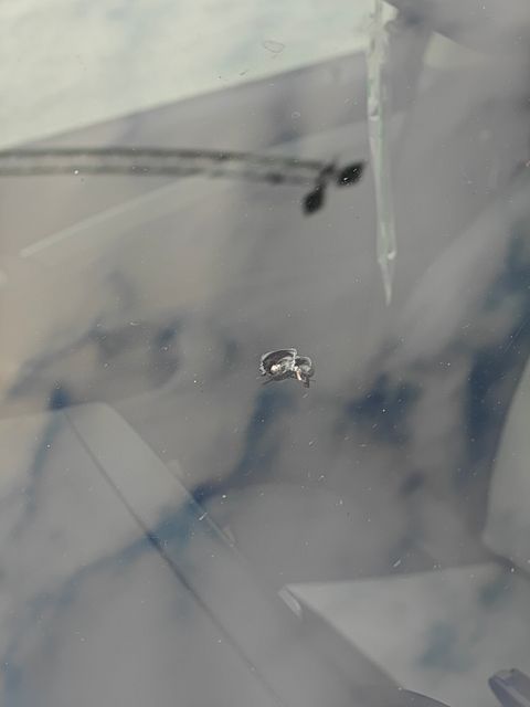 Image 12/12