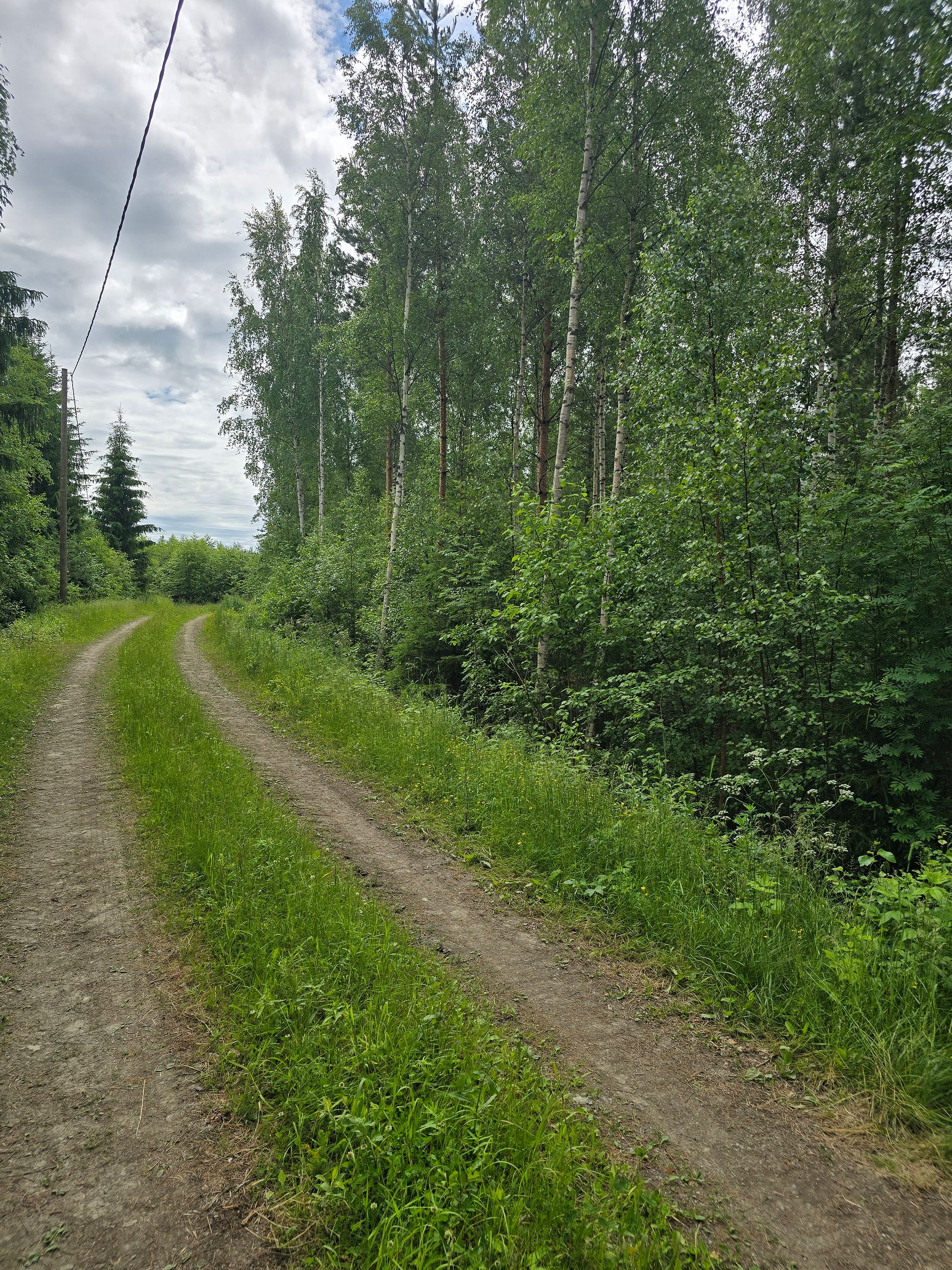 Image 15/20