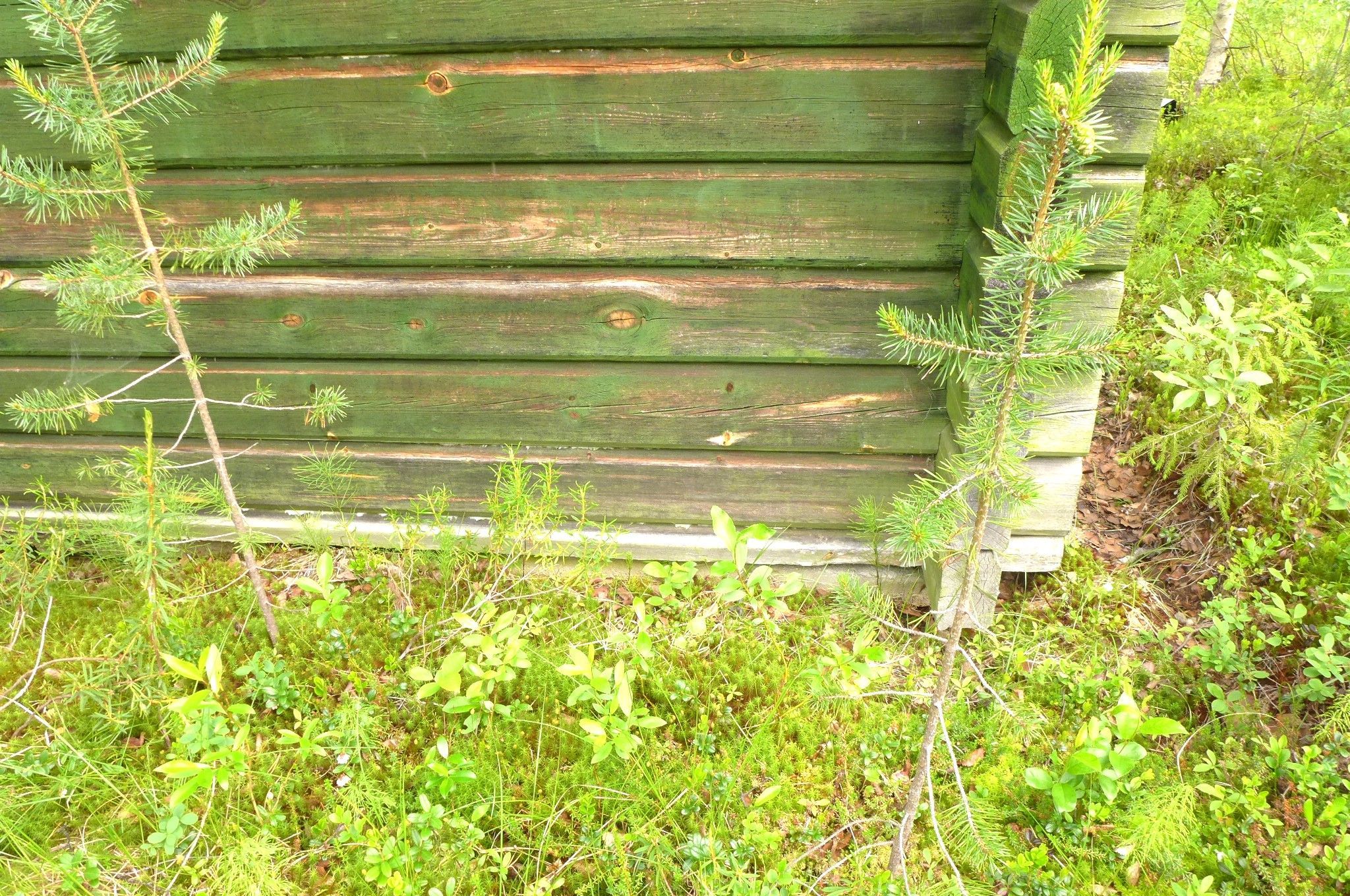 Image 6/51