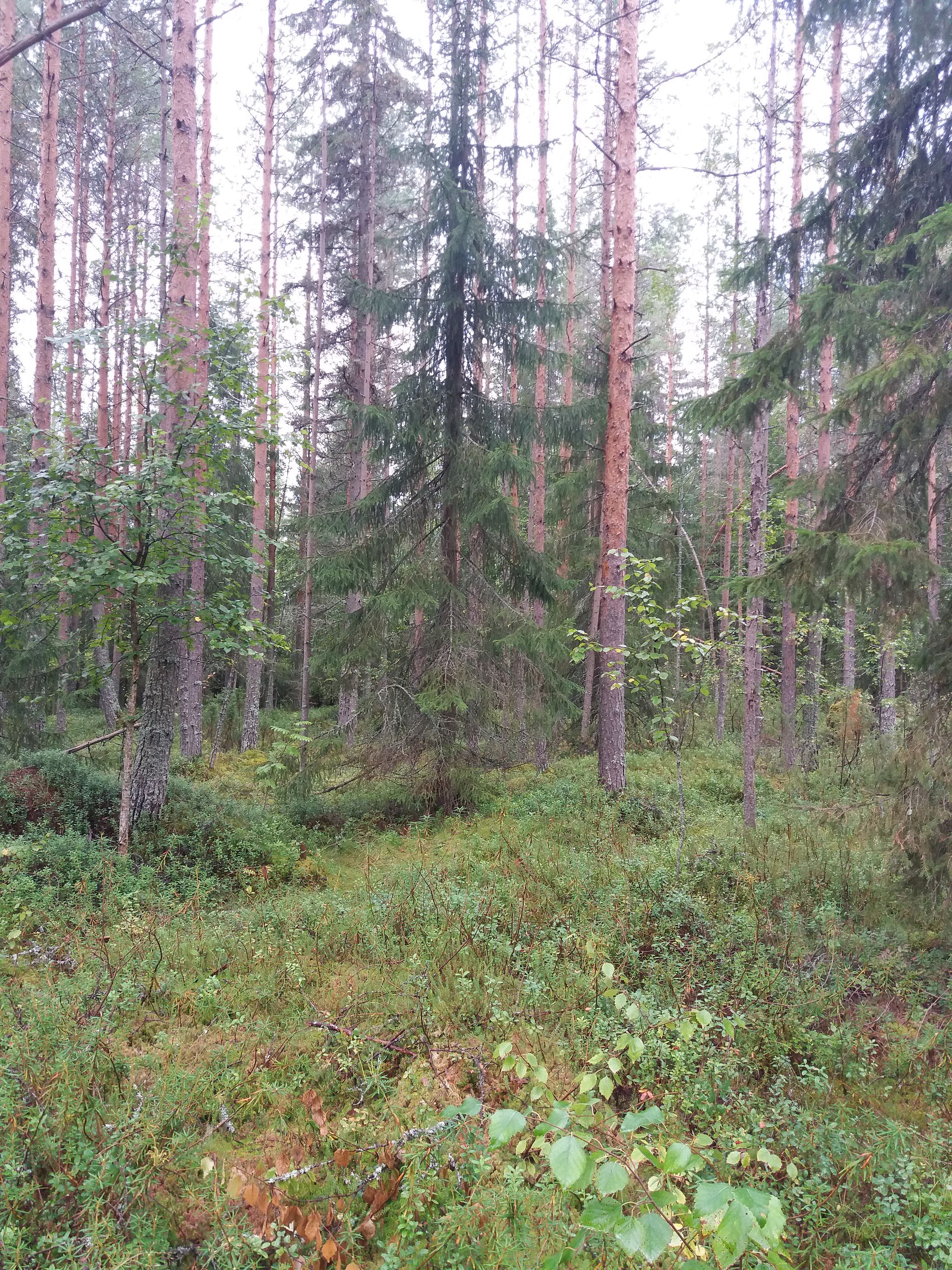 Image 5/21