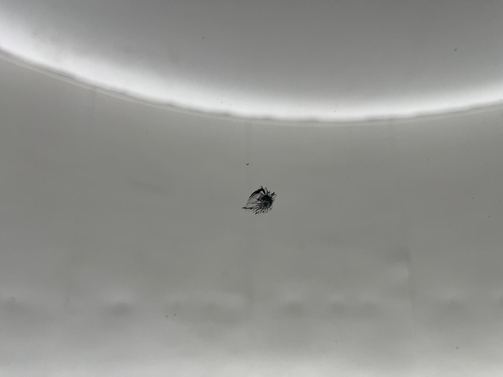 Image 20/25