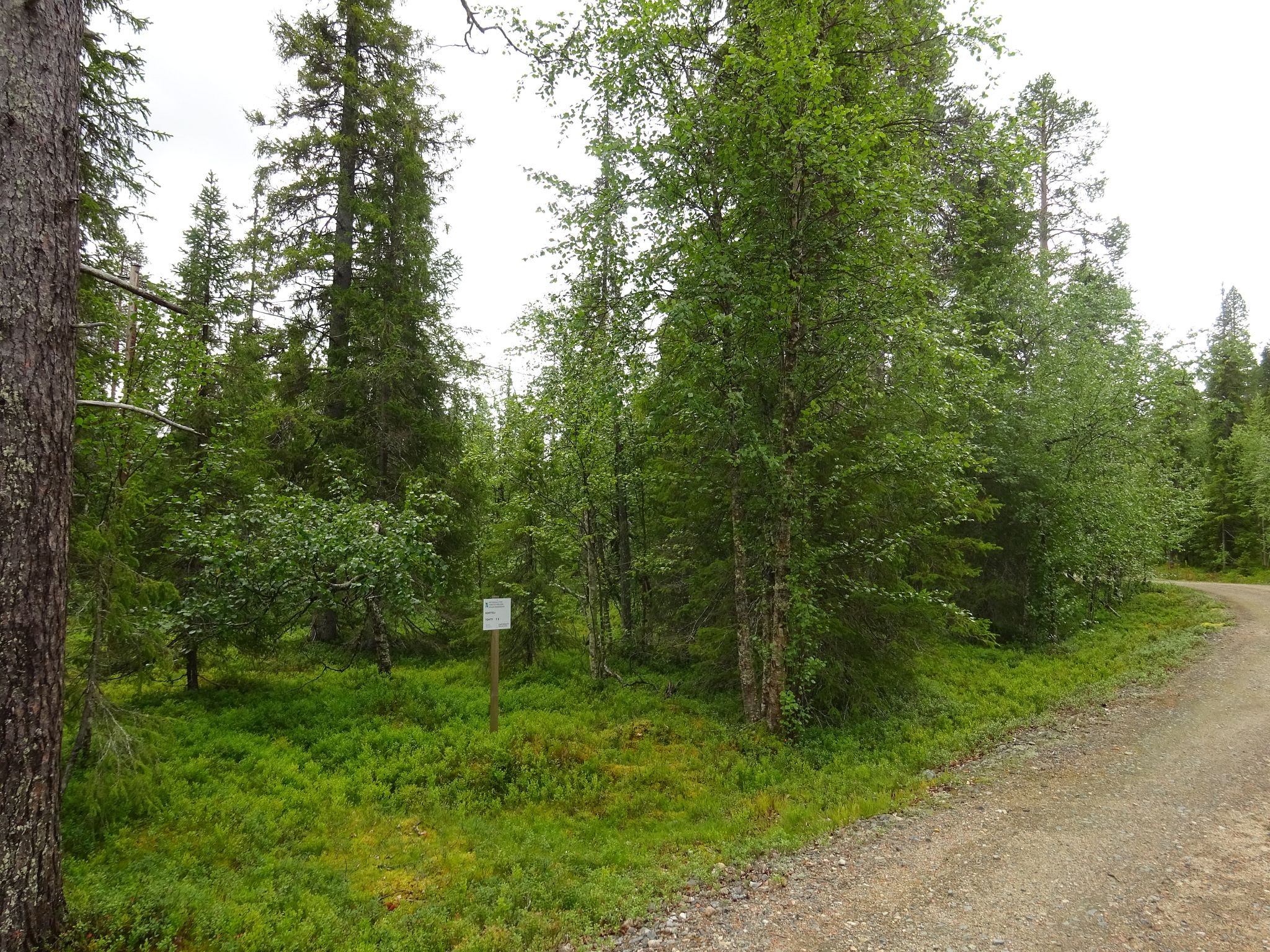 Image 1/11