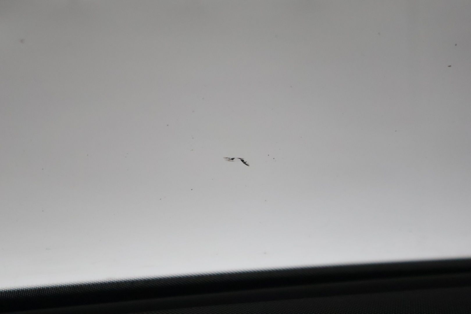 Image 36/43