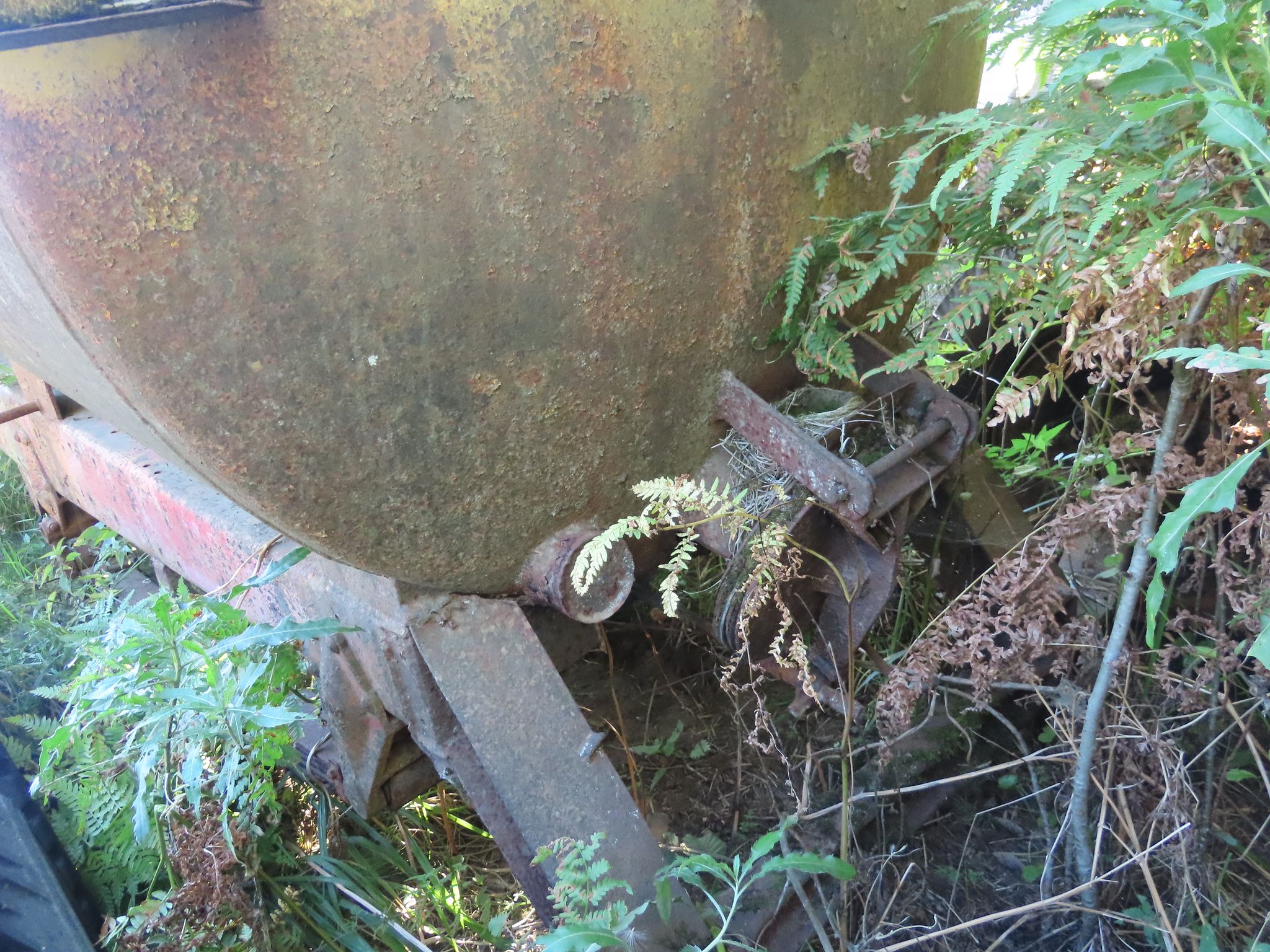 Image 7/8