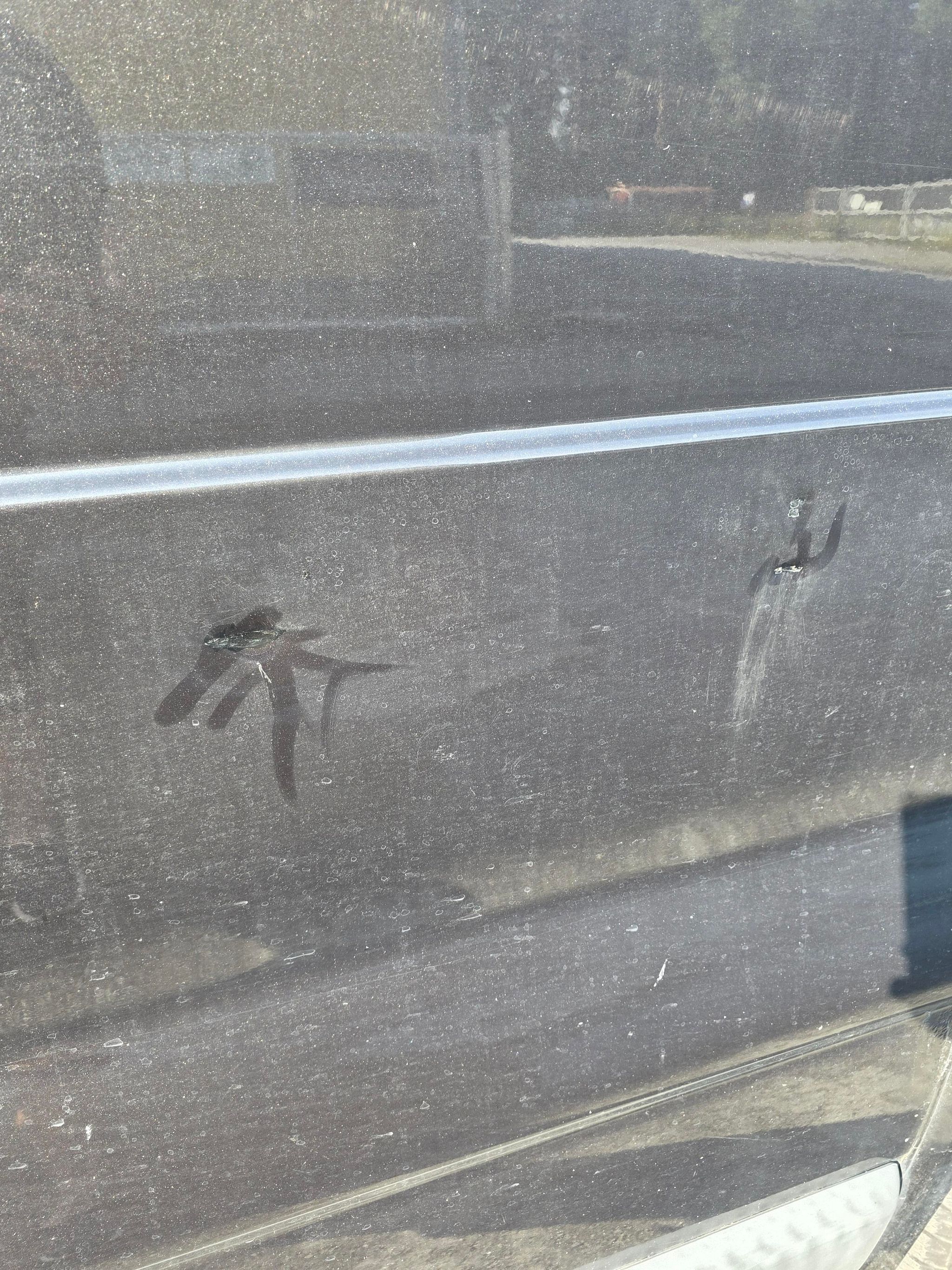 Image 6/25