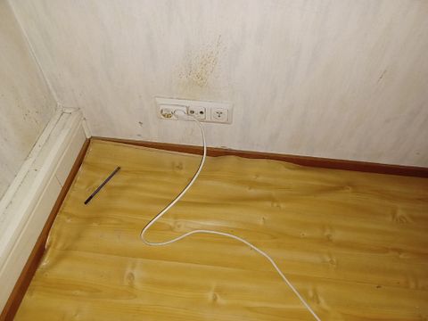Image 63/100