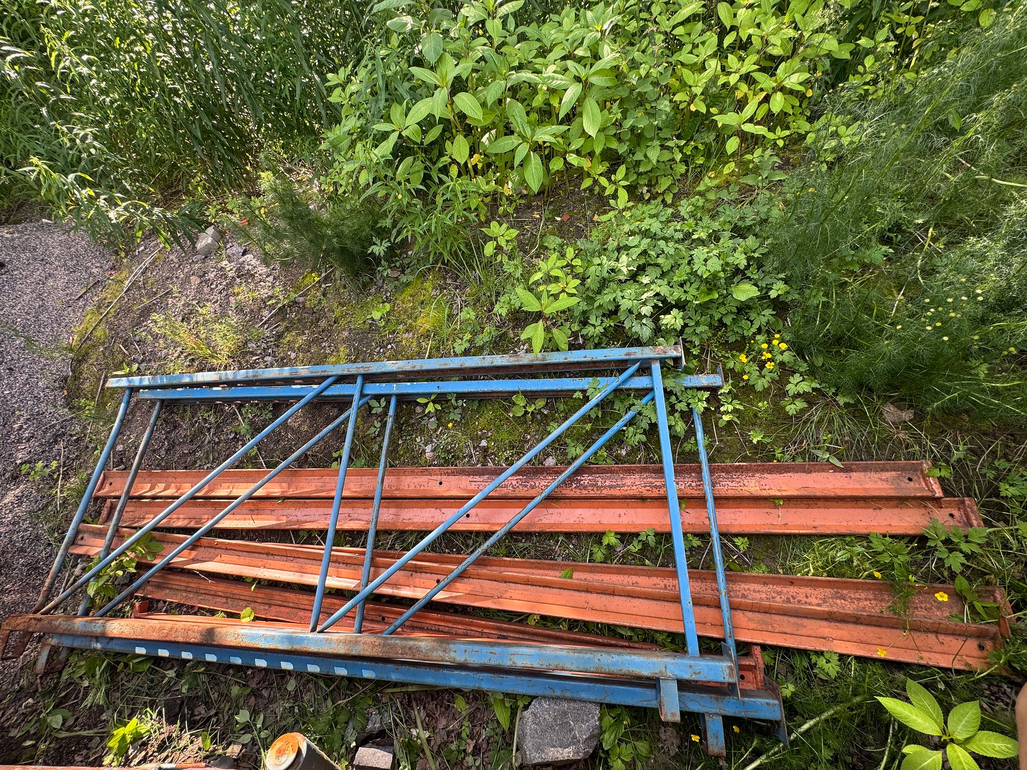 Image 3/3