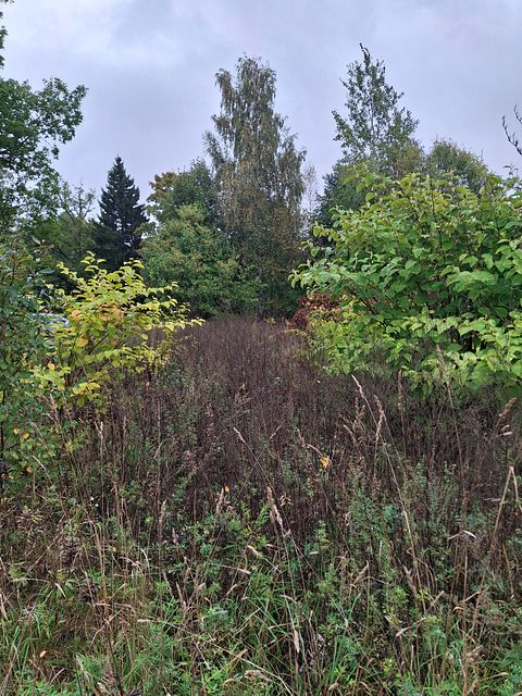 Image 5/12